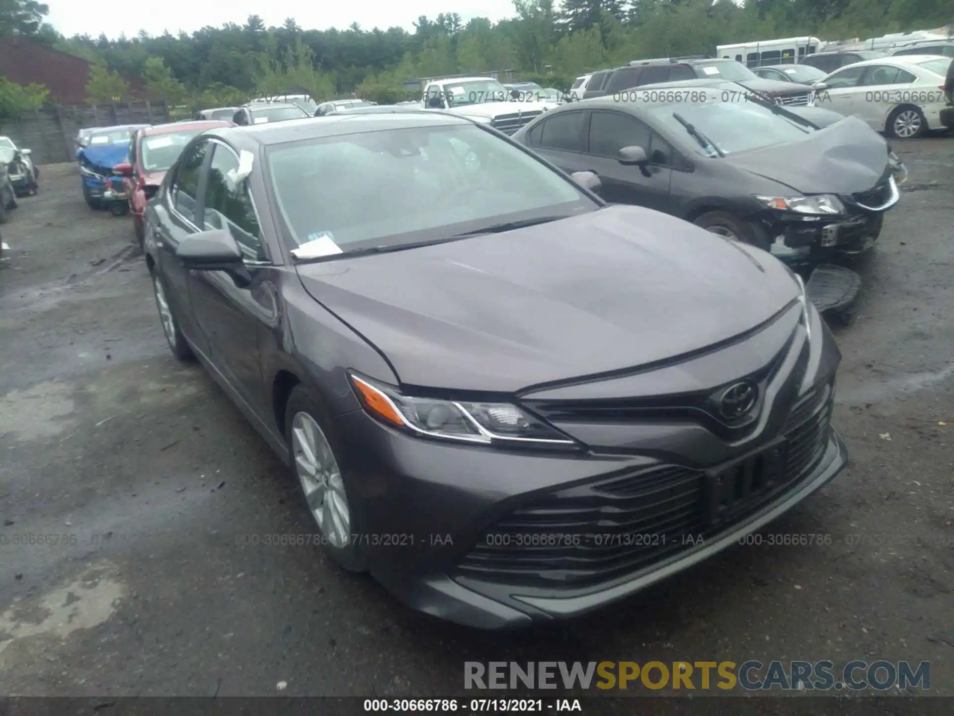 1 Photograph of a damaged car 4T1B11HK9KU161908 TOYOTA CAMRY 2019