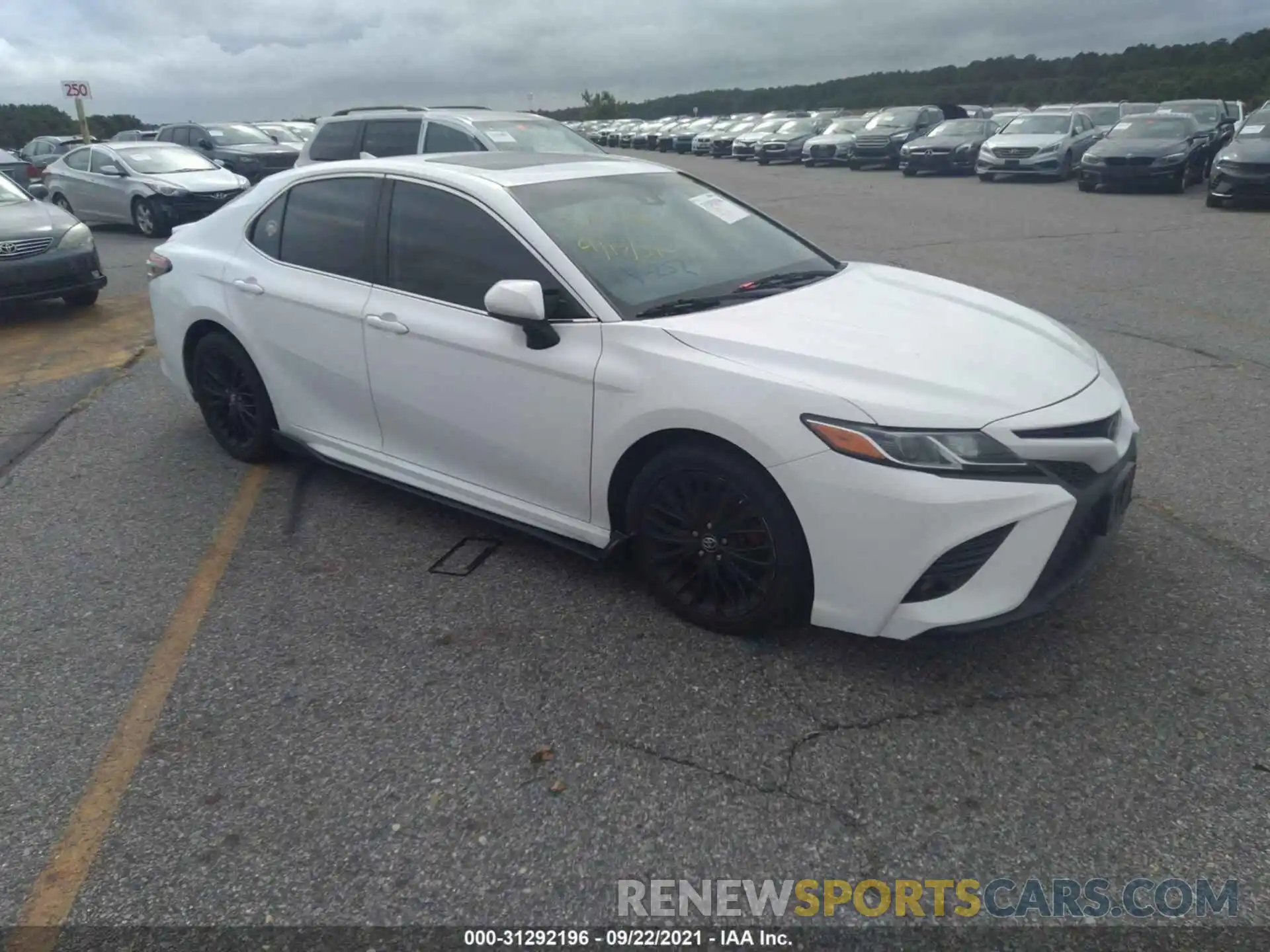 1 Photograph of a damaged car 4T1B11HK9KU162458 TOYOTA CAMRY 2019