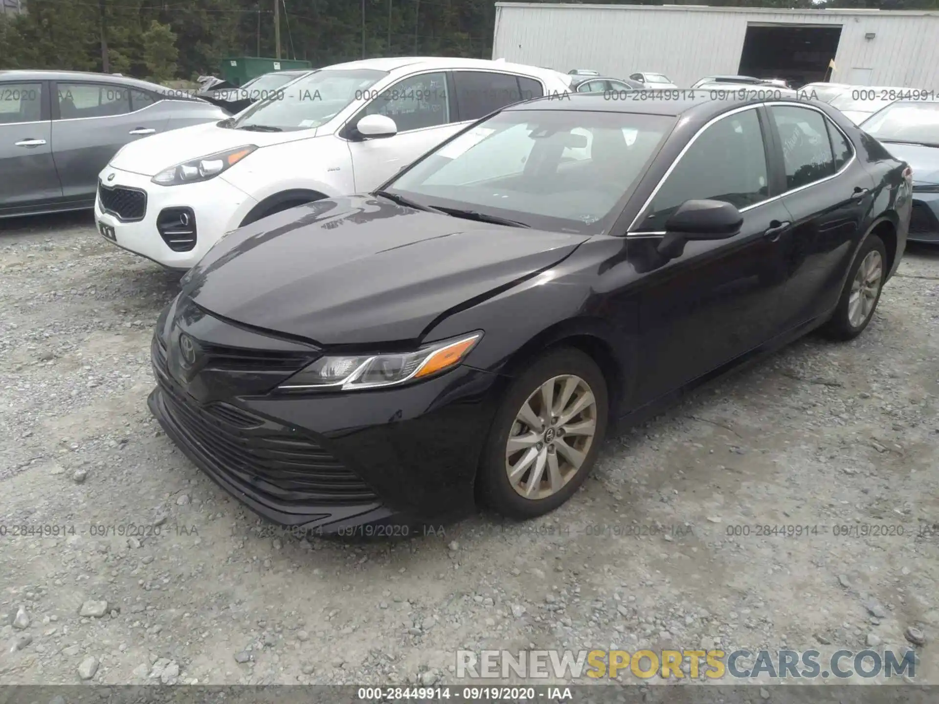 2 Photograph of a damaged car 4T1B11HK9KU195556 TOYOTA CAMRY 2019