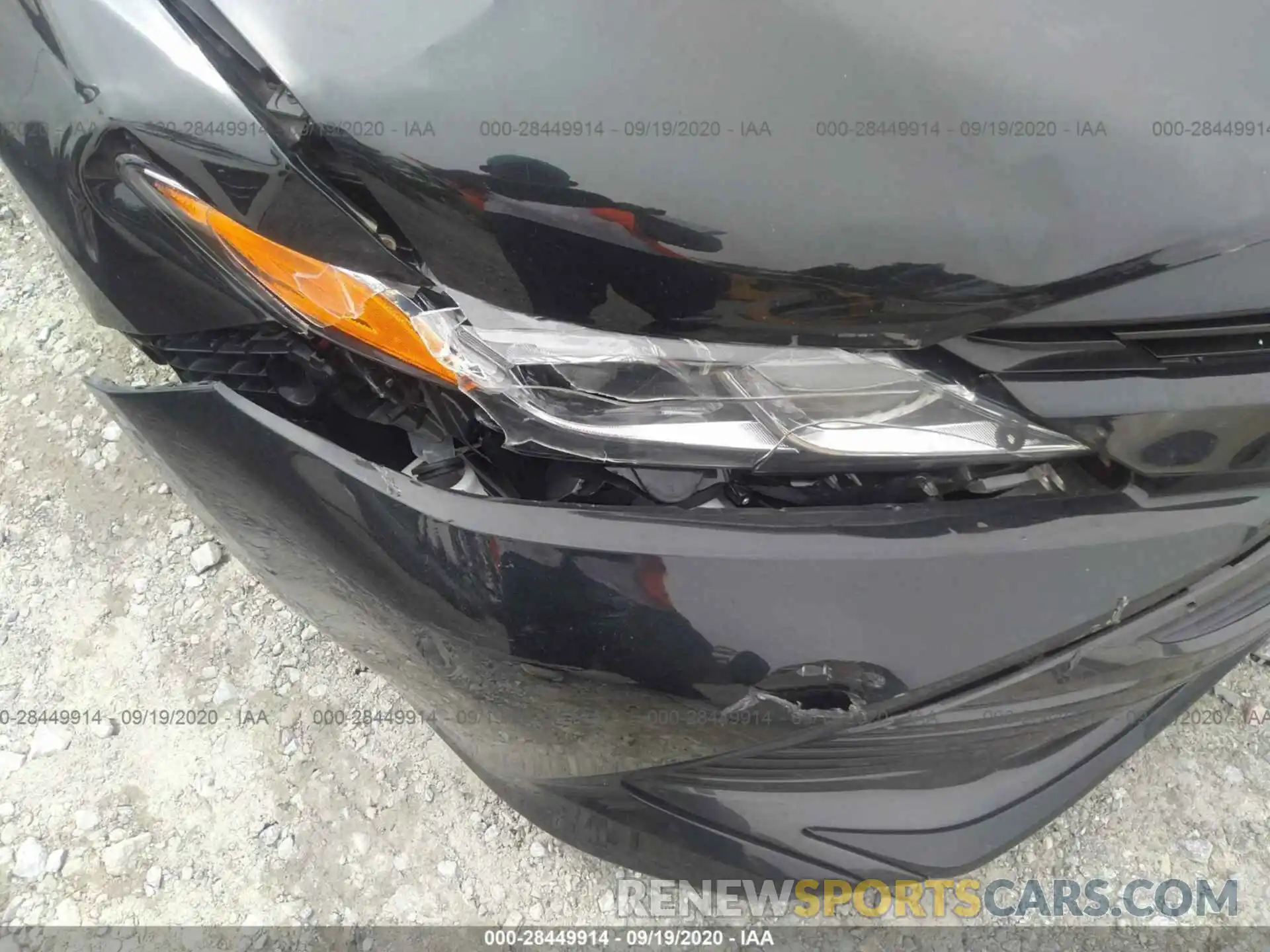 6 Photograph of a damaged car 4T1B11HK9KU195556 TOYOTA CAMRY 2019