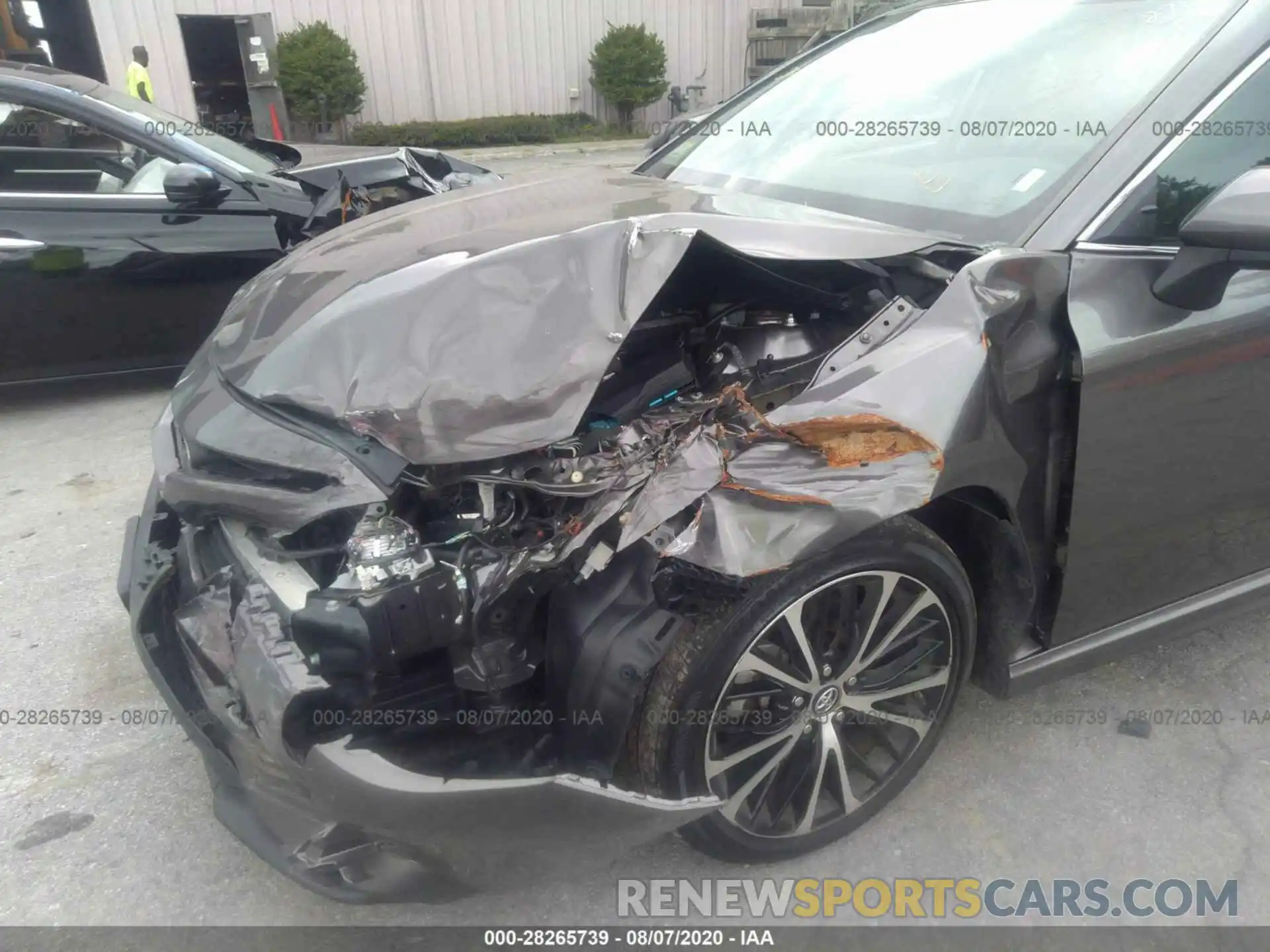 6 Photograph of a damaged car 4T1B11HK9KU209259 TOYOTA CAMRY 2019