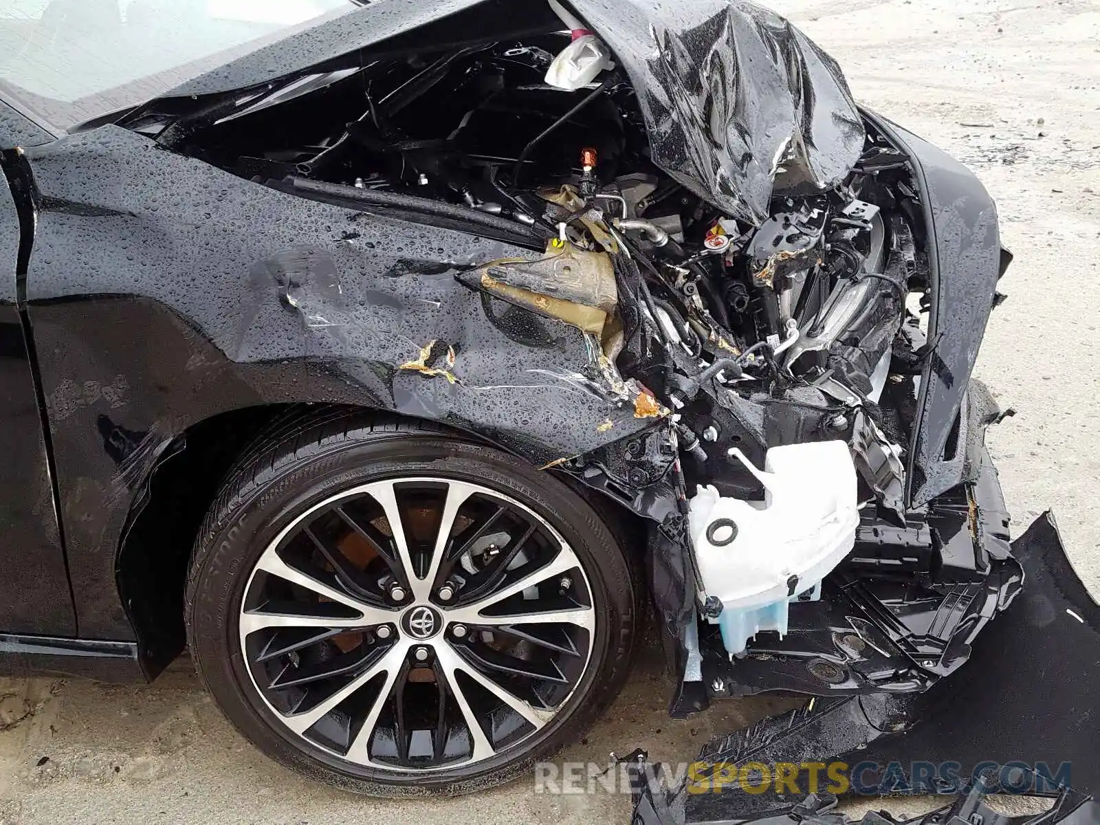 9 Photograph of a damaged car 4T1B11HK9KU212212 TOYOTA CAMRY 2019