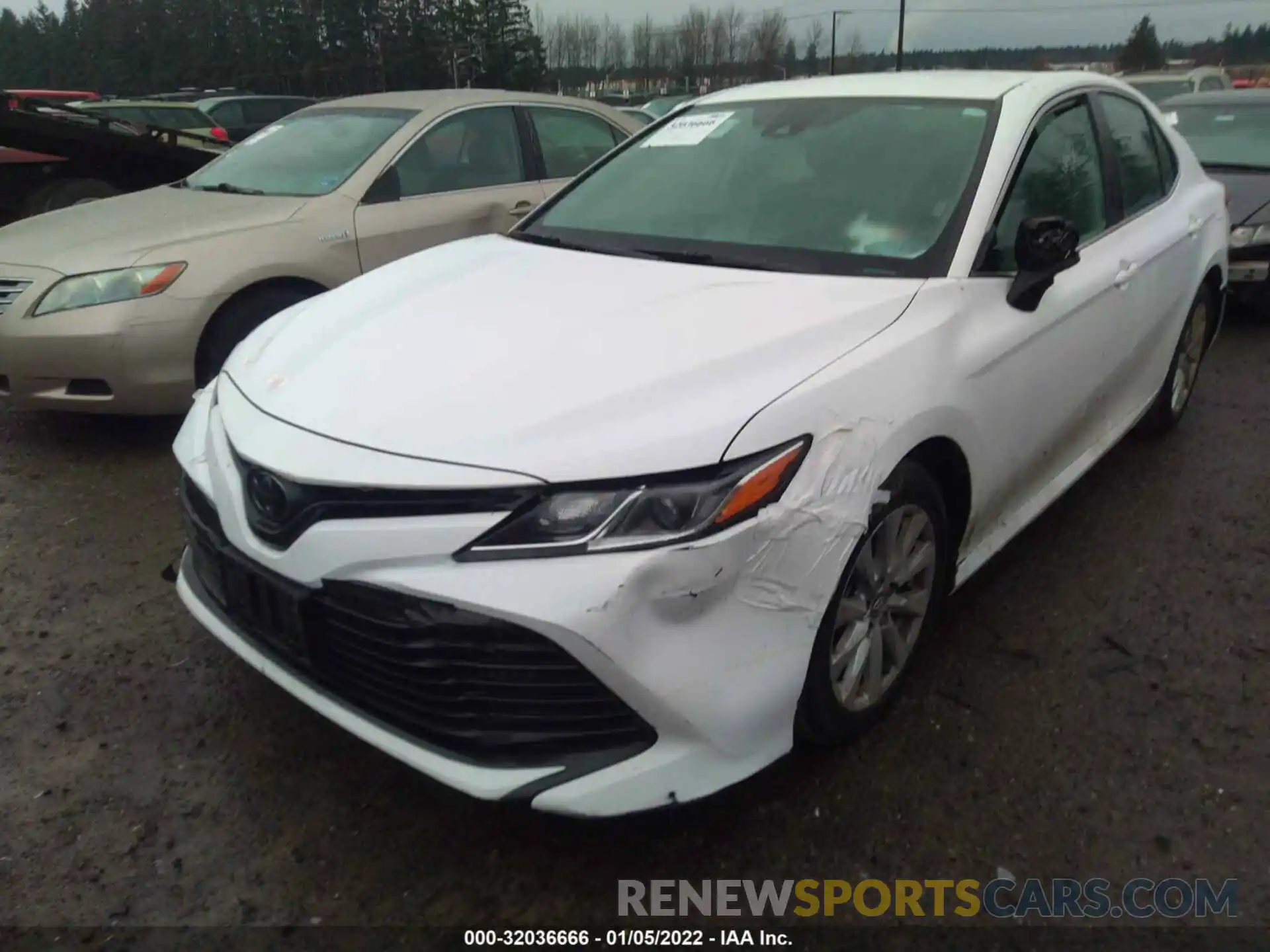 2 Photograph of a damaged car 4T1B11HK9KU254329 TOYOTA CAMRY 2019