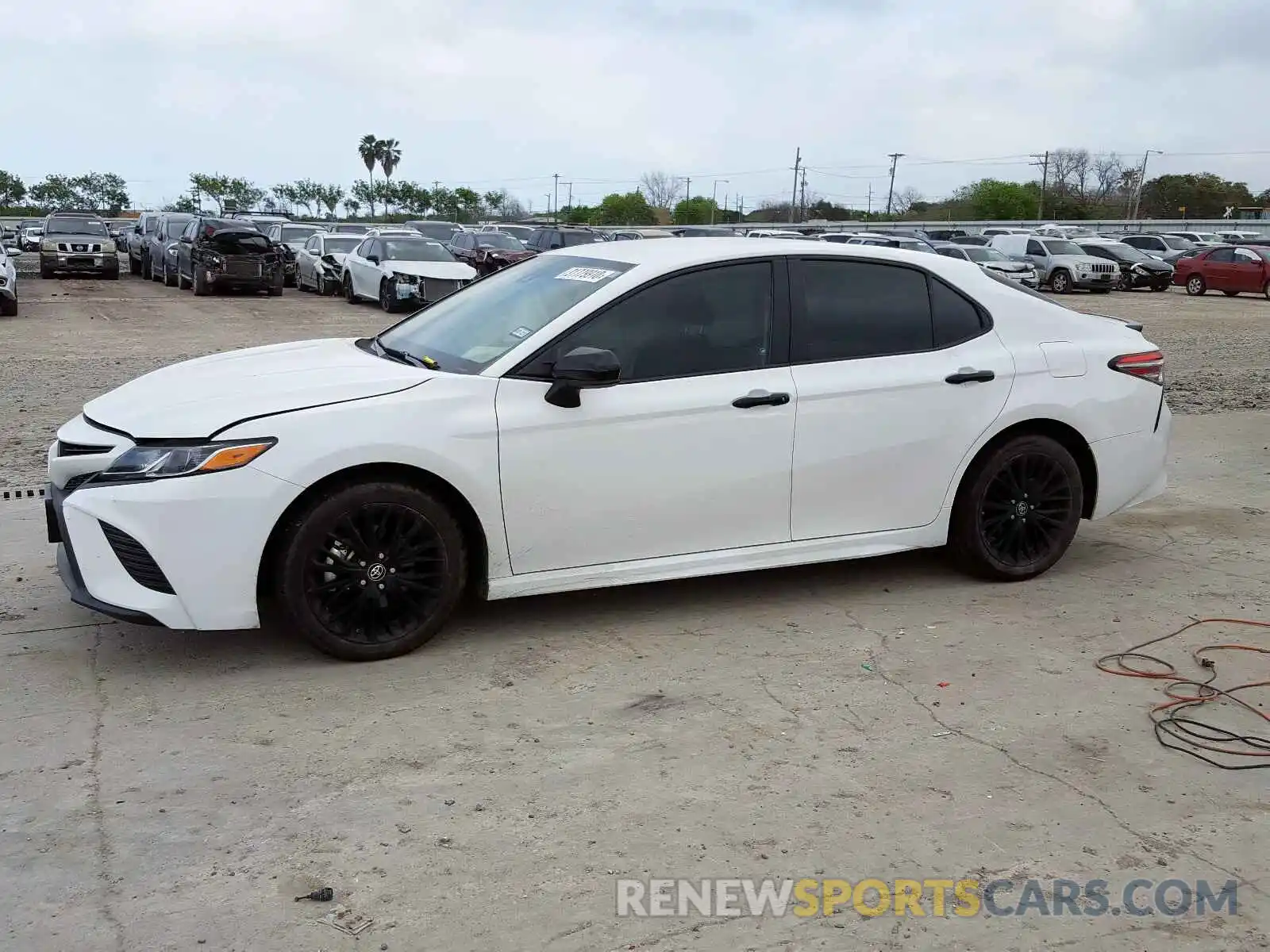 9 Photograph of a damaged car 4T1B11HK9KU277299 TOYOTA CAMRY 2019