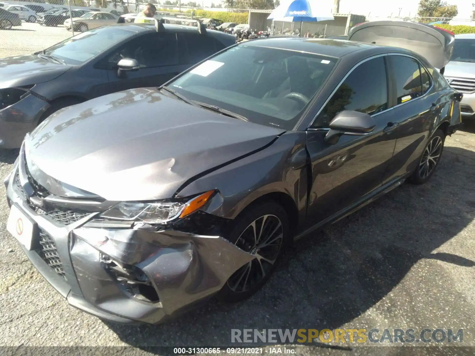 2 Photograph of a damaged car 4T1B11HK9KU697614 TOYOTA CAMRY 2019