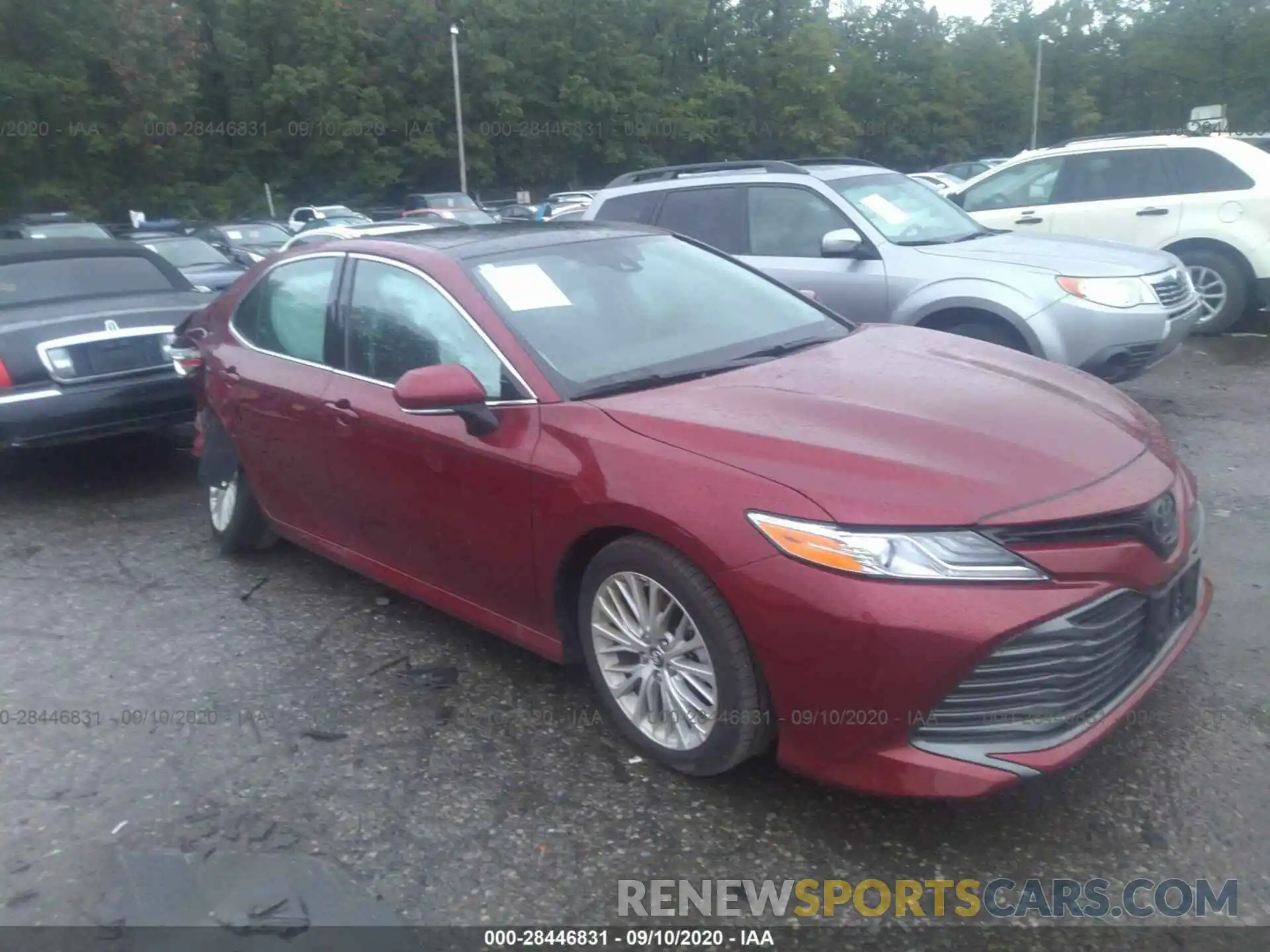 1 Photograph of a damaged car 4T1B11HK9KU700348 TOYOTA CAMRY 2019