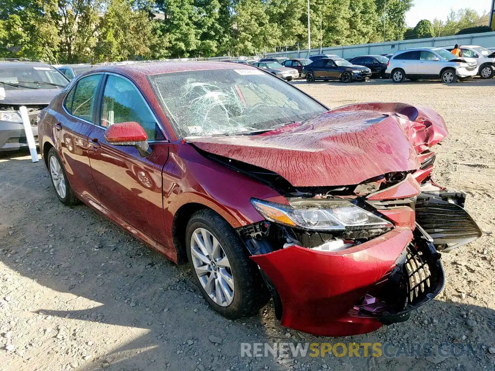 1 Photograph of a damaged car 4T1B11HK9KU701208 TOYOTA CAMRY 2019