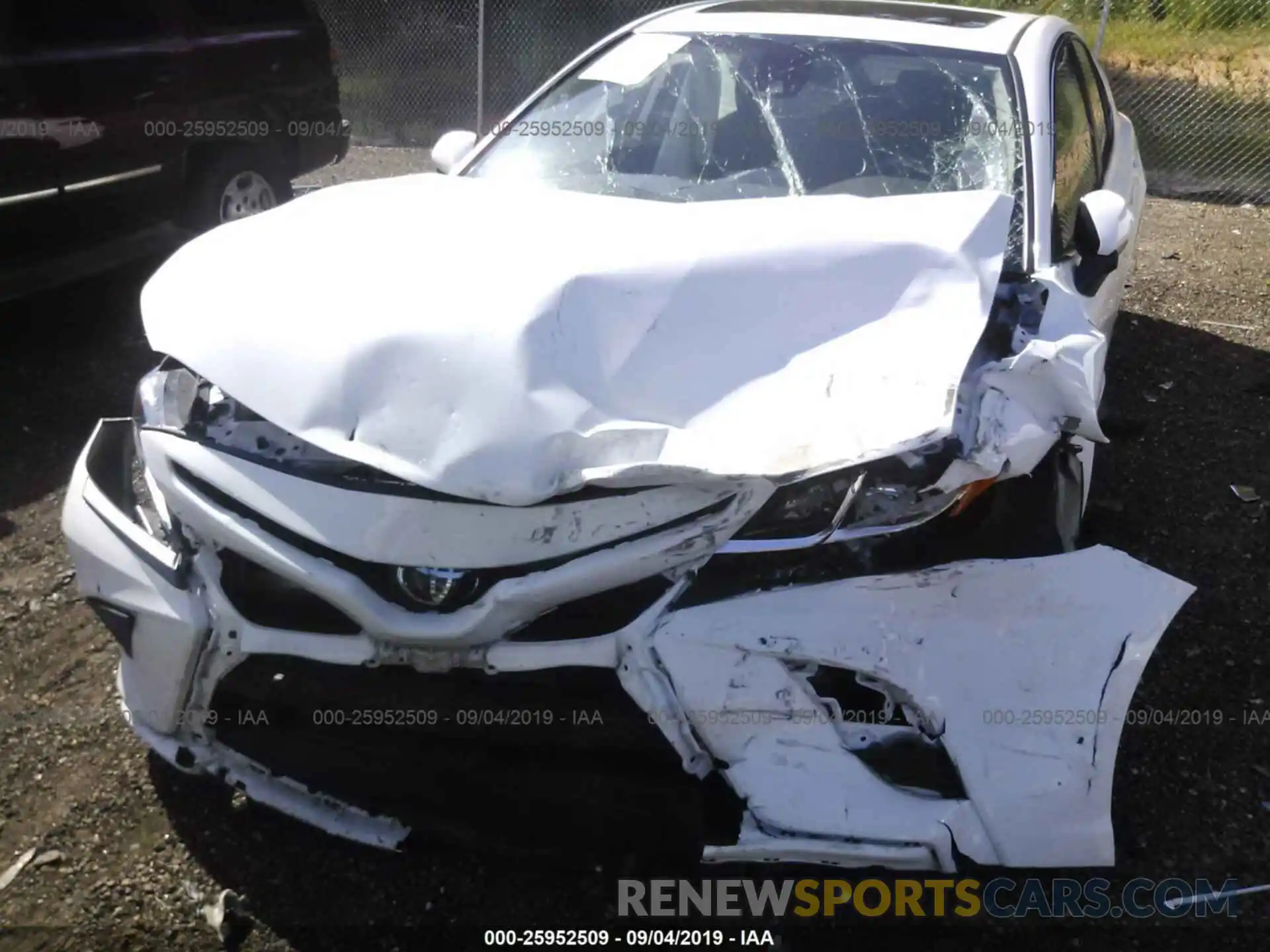 6 Photograph of a damaged car 4T1B11HK9KU736203 TOYOTA CAMRY 2019