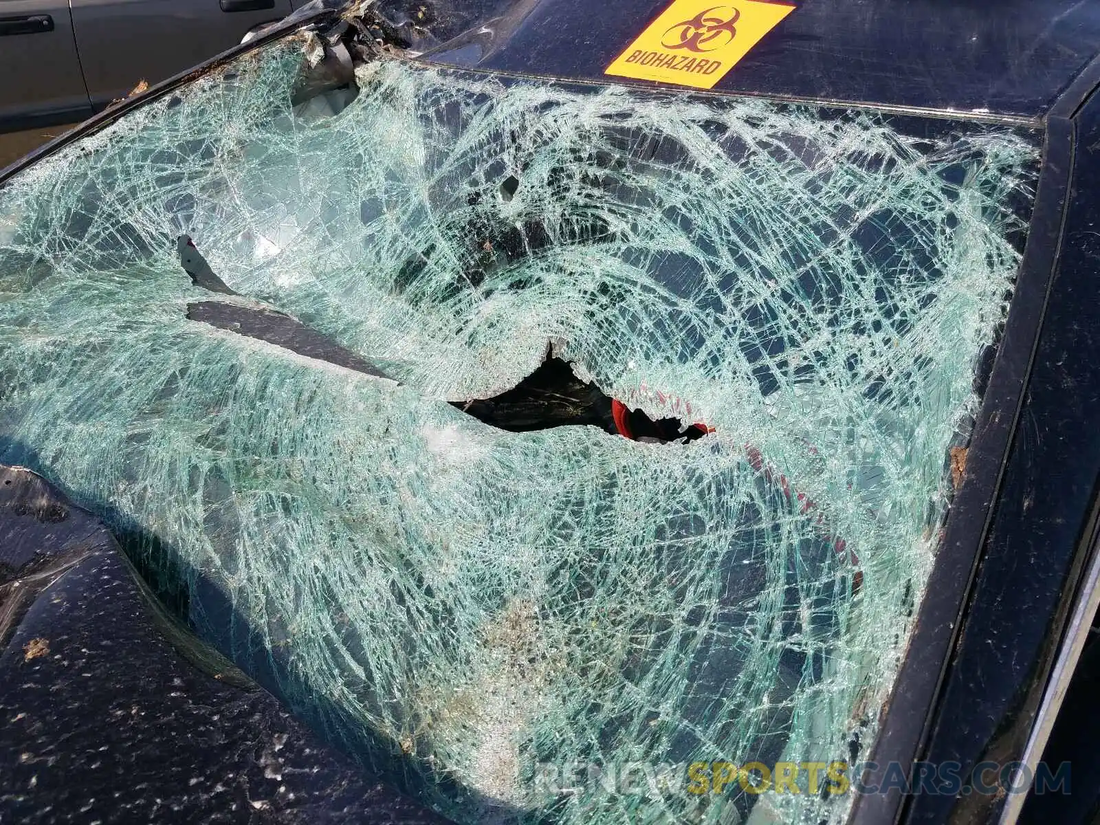 9 Photograph of a damaged car 4T1B11HK9KU752756 TOYOTA CAMRY 2019