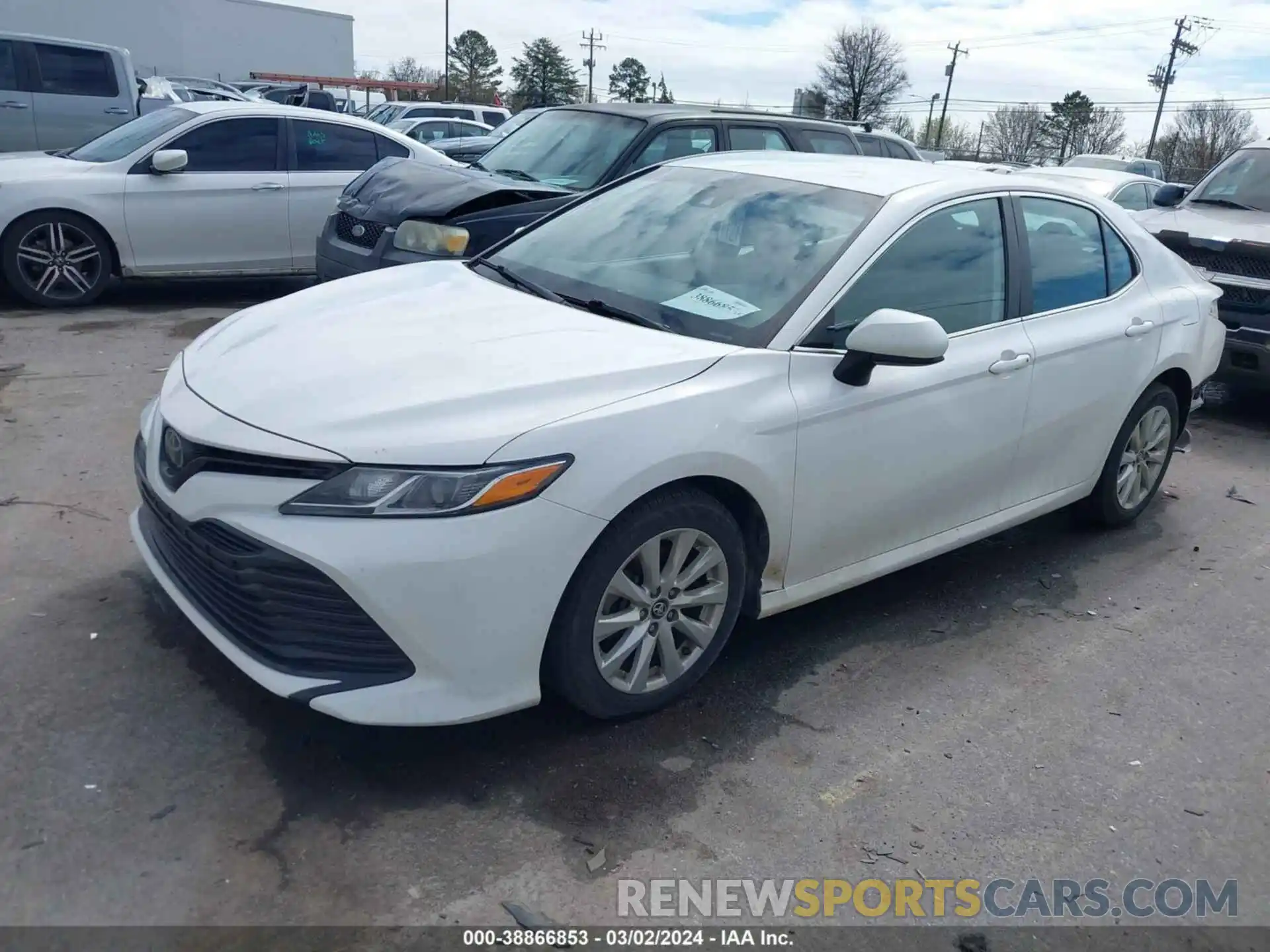 2 Photograph of a damaged car 4T1B11HK9KU785496 TOYOTA CAMRY 2019