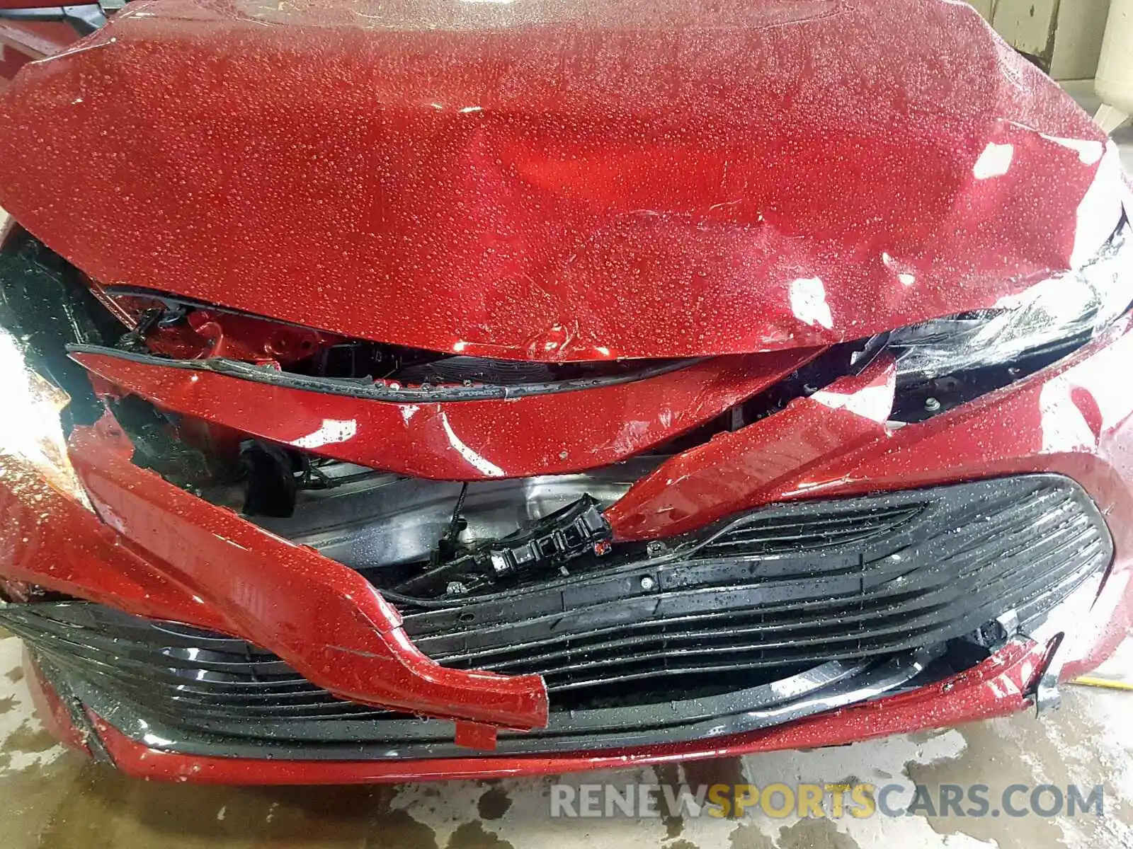 9 Photograph of a damaged car 4T1B11HK9KU831991 TOYOTA CAMRY 2019