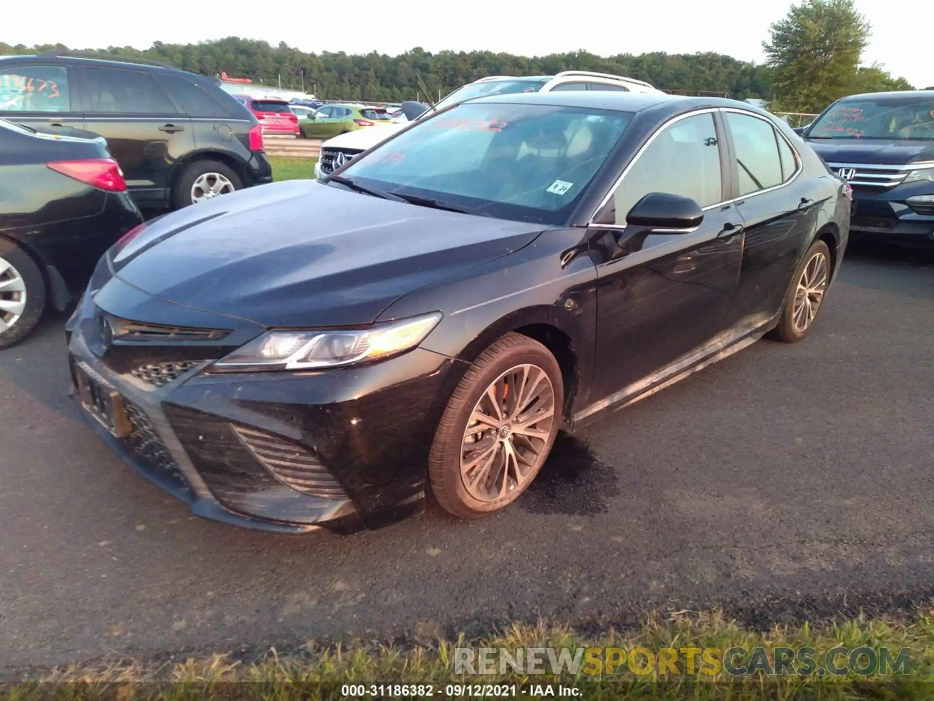 2 Photograph of a damaged car 4T1B11HK9KU847480 TOYOTA CAMRY 2019