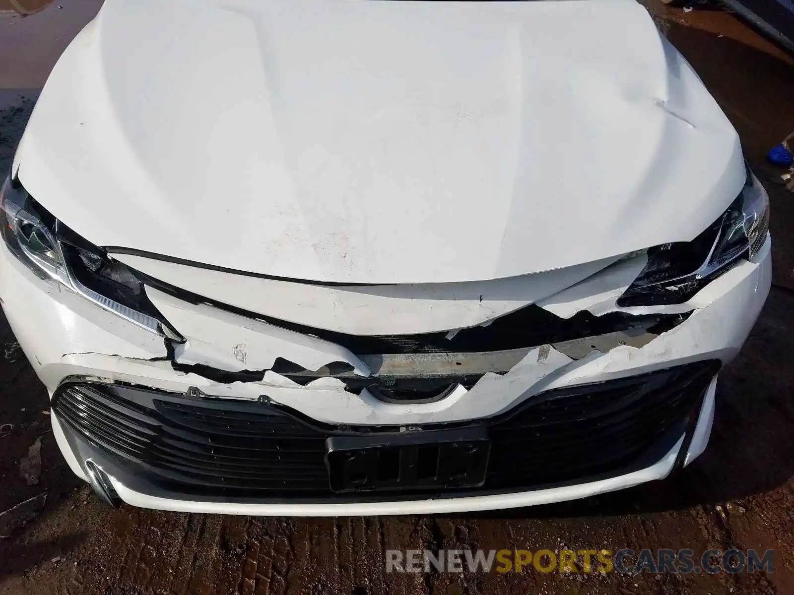 7 Photograph of a damaged car 4T1B11HKXKU181732 TOYOTA CAMRY 2019