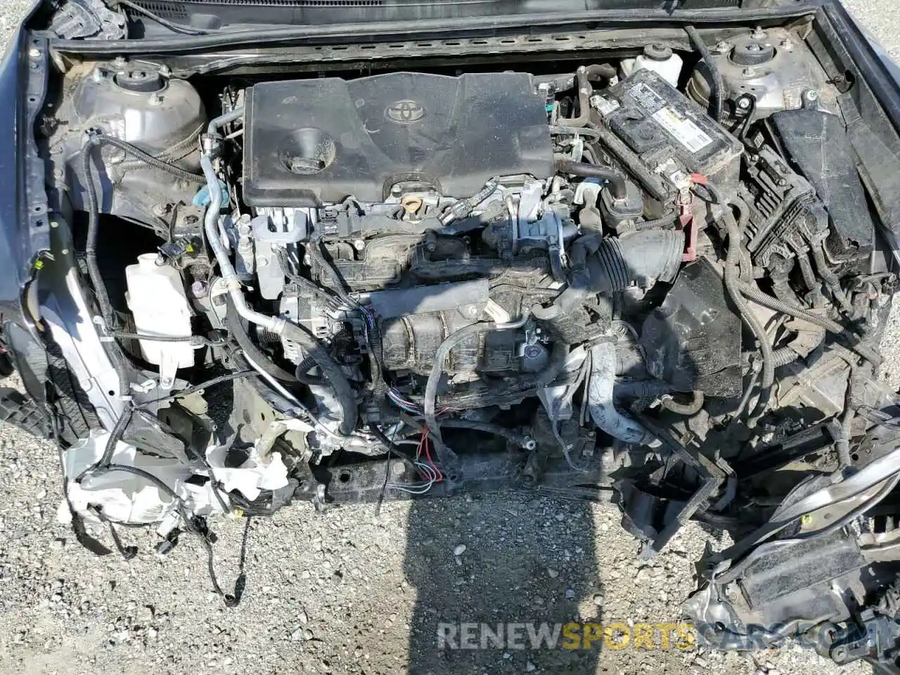 7 Photograph of a damaged car 4T1B11HKXKU205480 TOYOTA CAMRY 2019