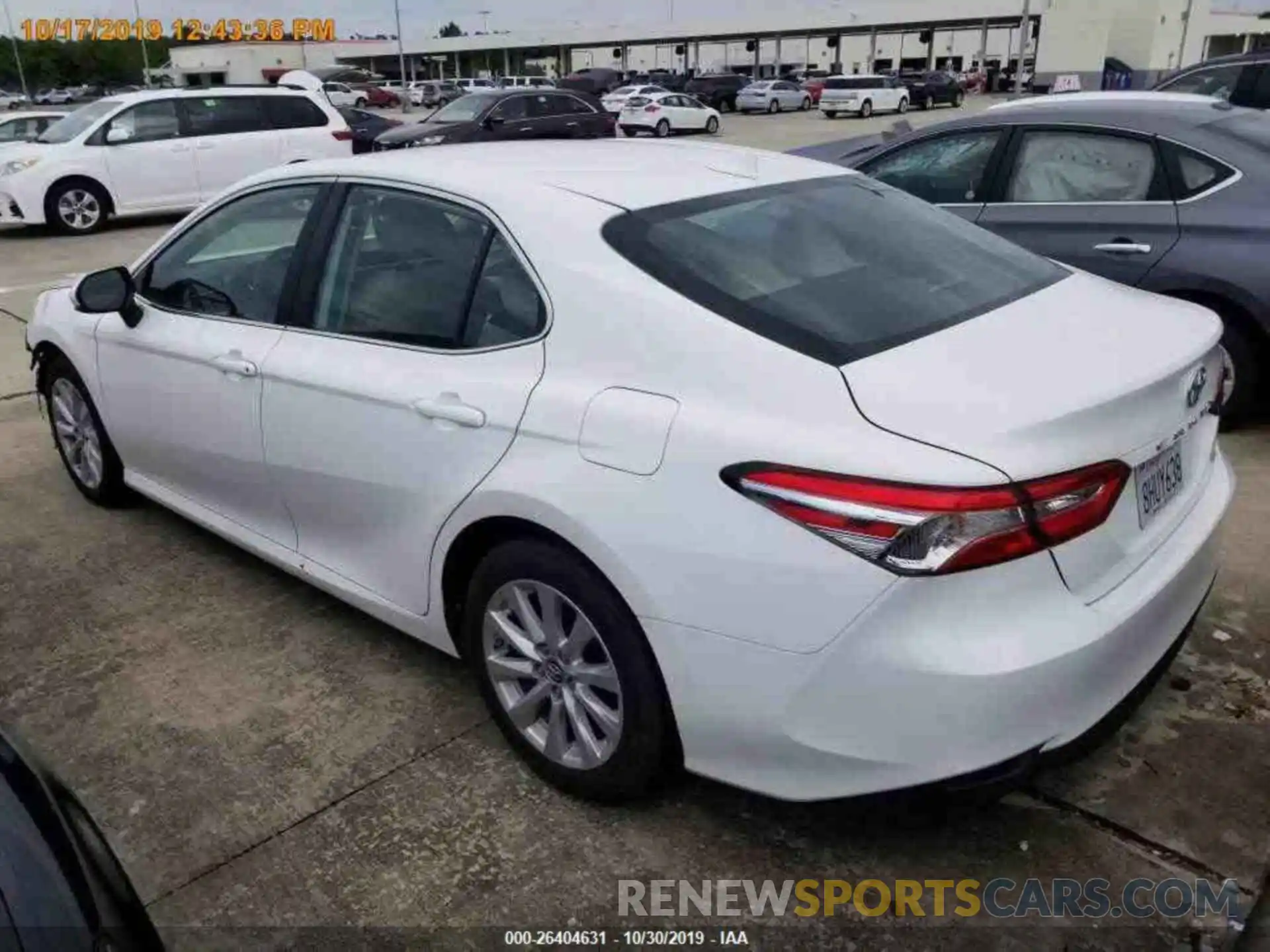 12 Photograph of a damaged car 4T1B11HKXKU206628 TOYOTA CAMRY 2019