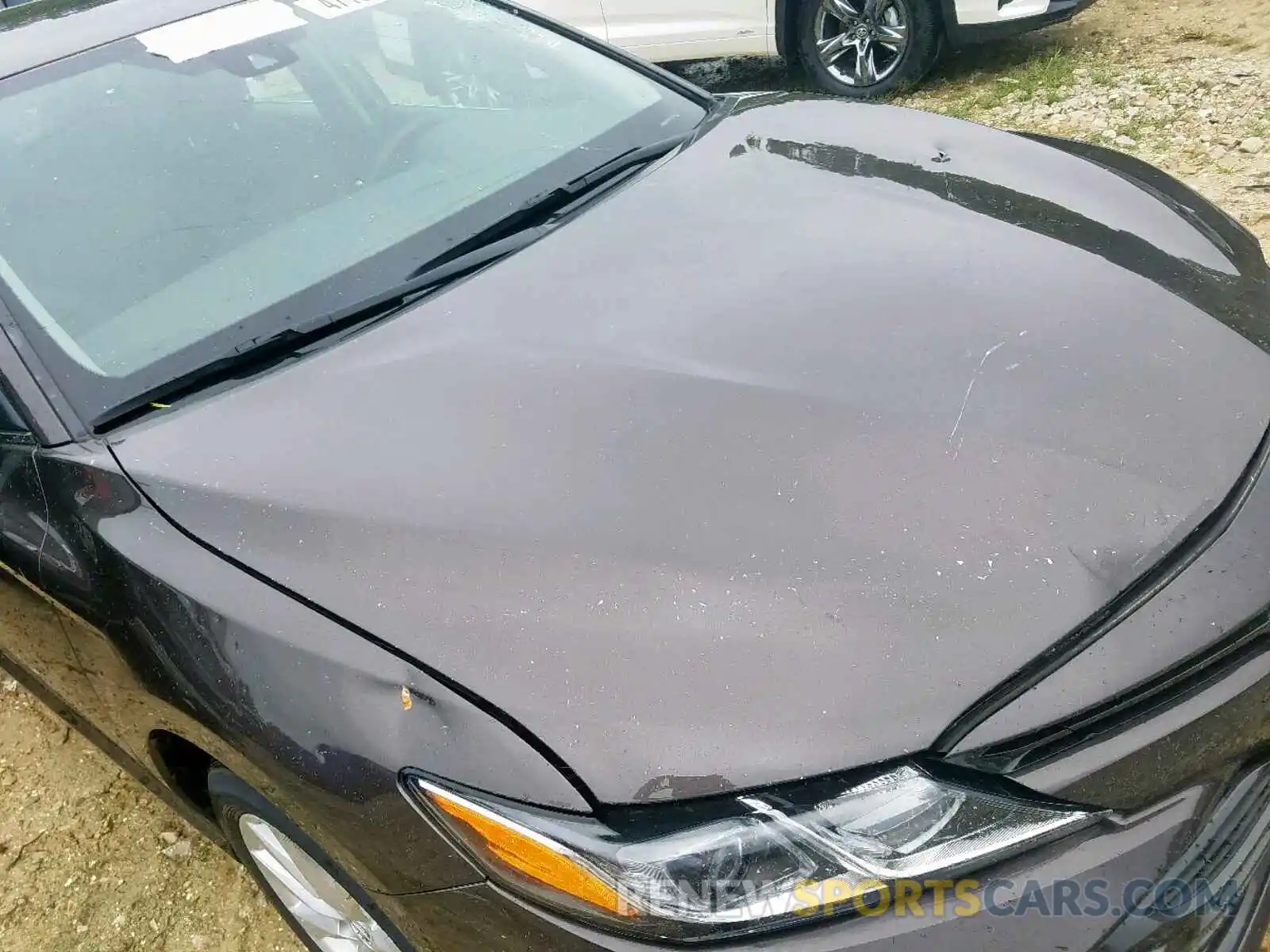 9 Photograph of a damaged car 4T1B11HKXKU217032 TOYOTA CAMRY 2019