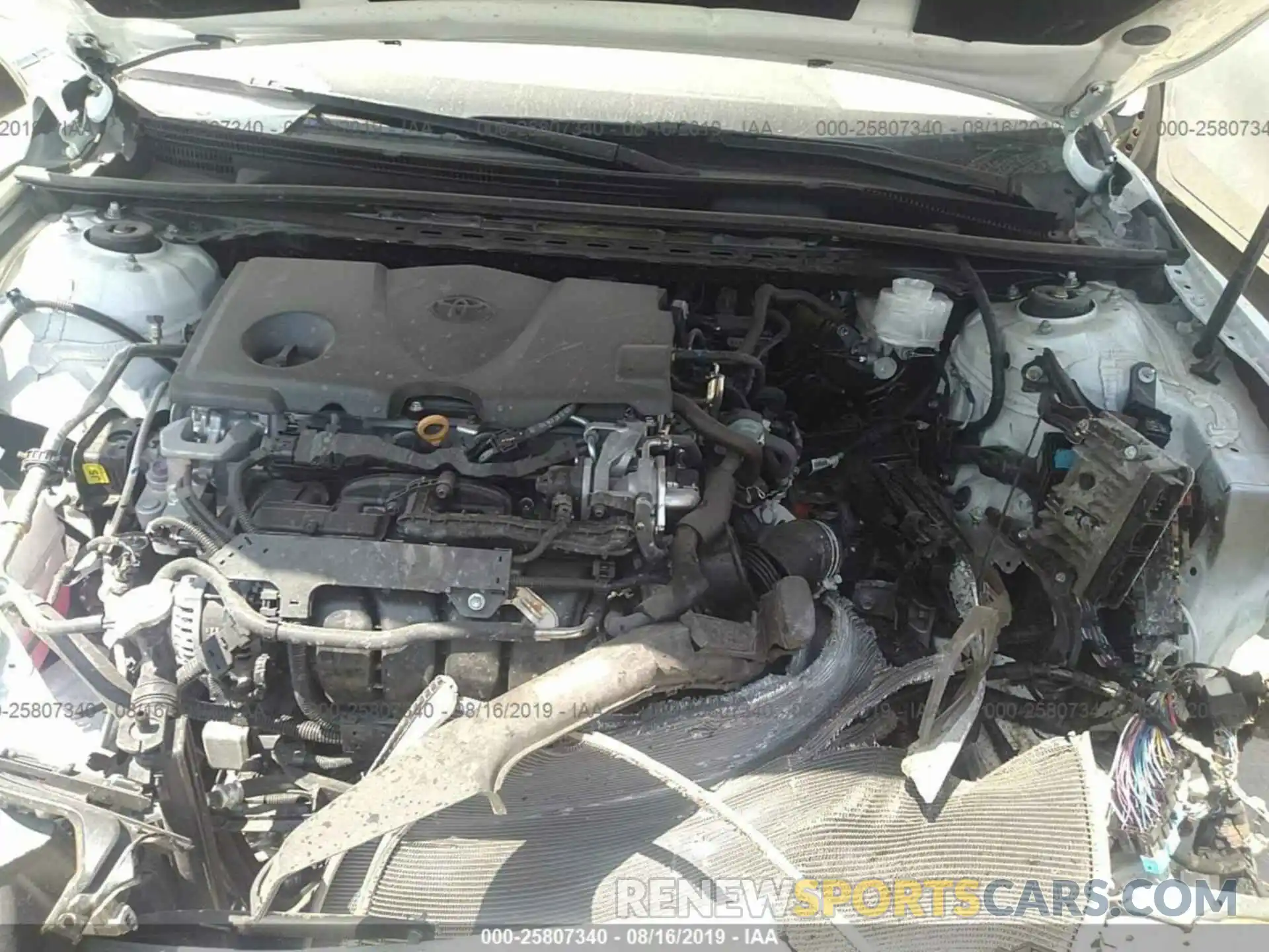 10 Photograph of a damaged car 4T1B11HKXKU230122 TOYOTA CAMRY 2019