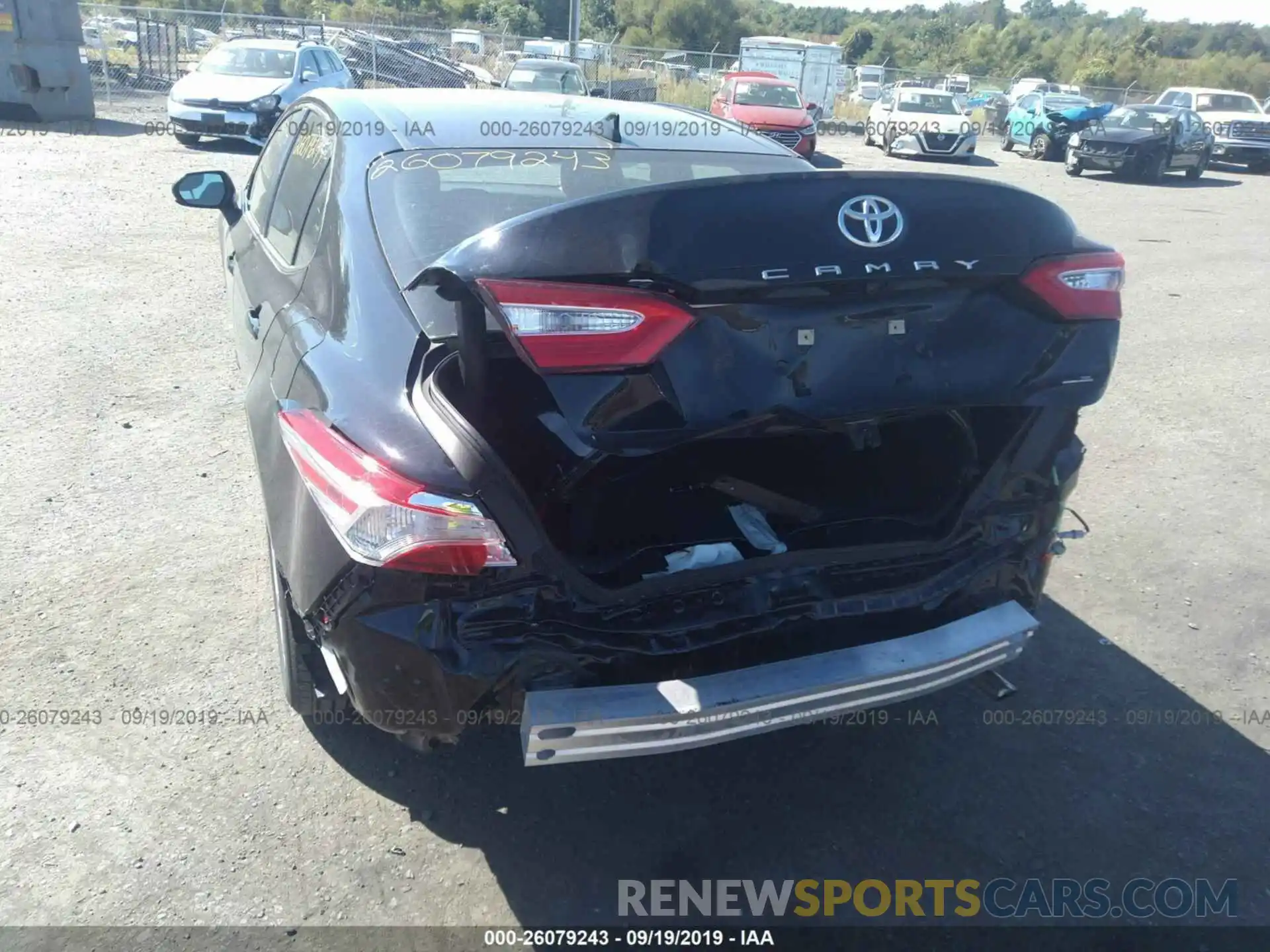 6 Photograph of a damaged car 4T1B11HKXKU237023 TOYOTA CAMRY 2019