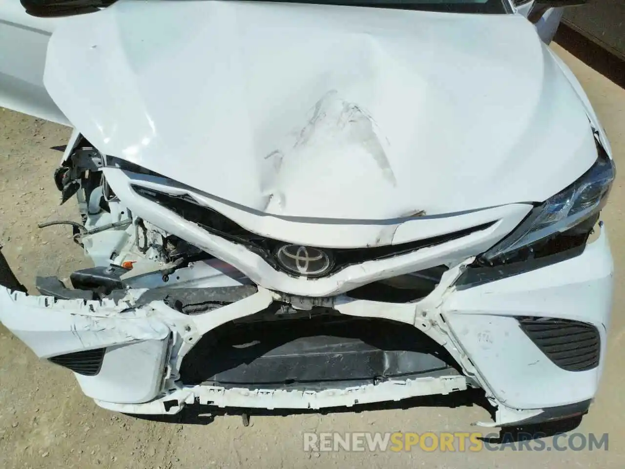 7 Photograph of a damaged car 4T1B11HKXKU237300 TOYOTA CAMRY 2019