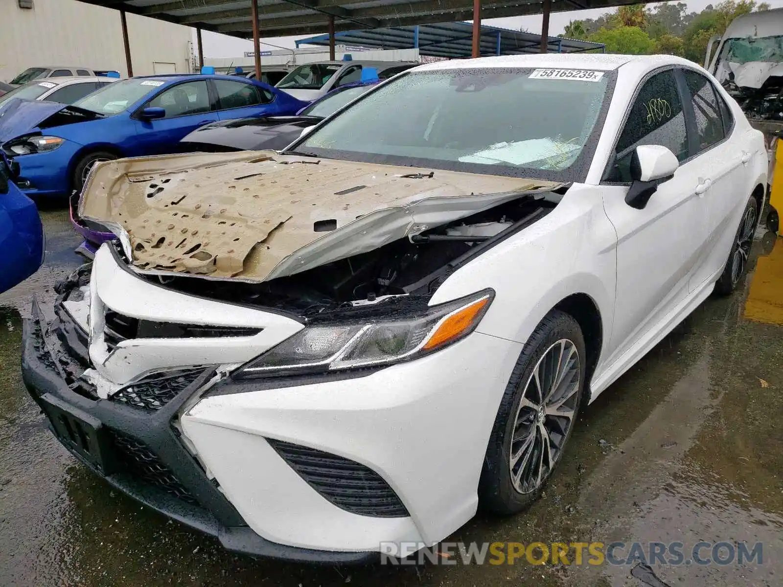 2 Photograph of a damaged car 4T1B11HKXKU256879 TOYOTA CAMRY 2019