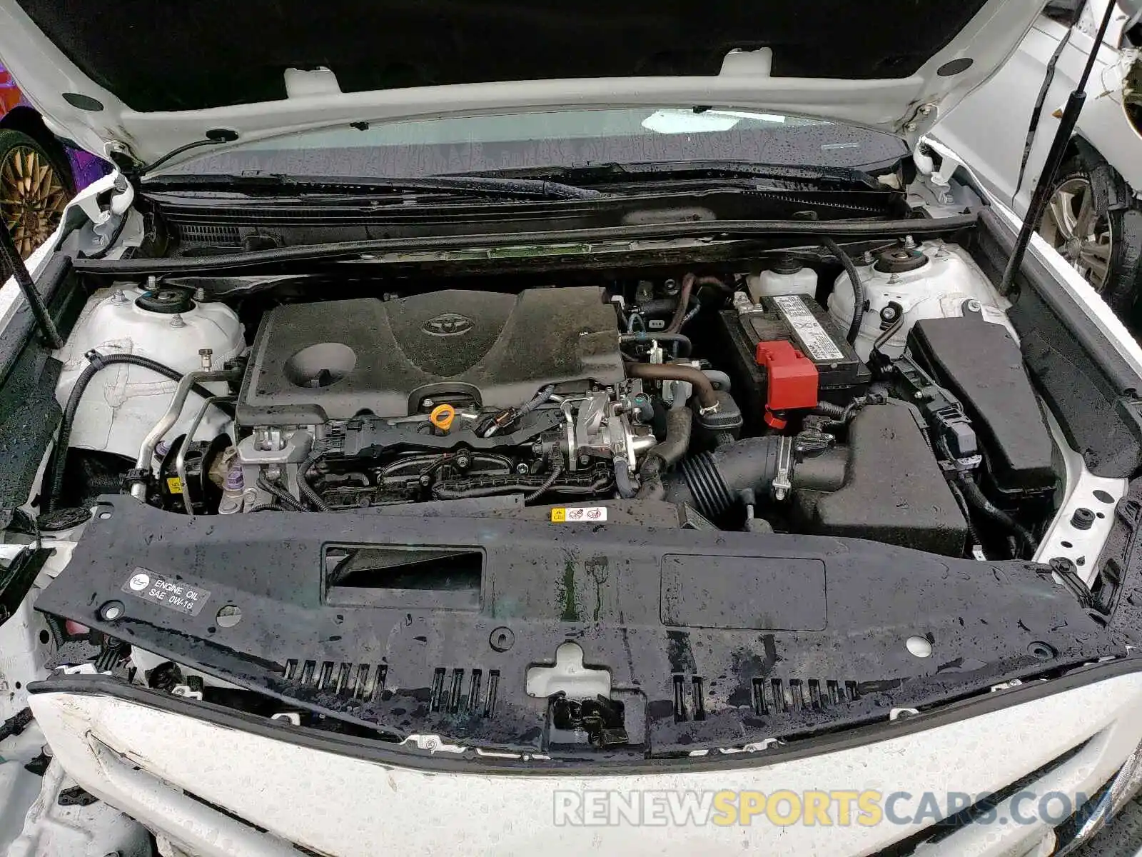 7 Photograph of a damaged car 4T1B11HKXKU256879 TOYOTA CAMRY 2019