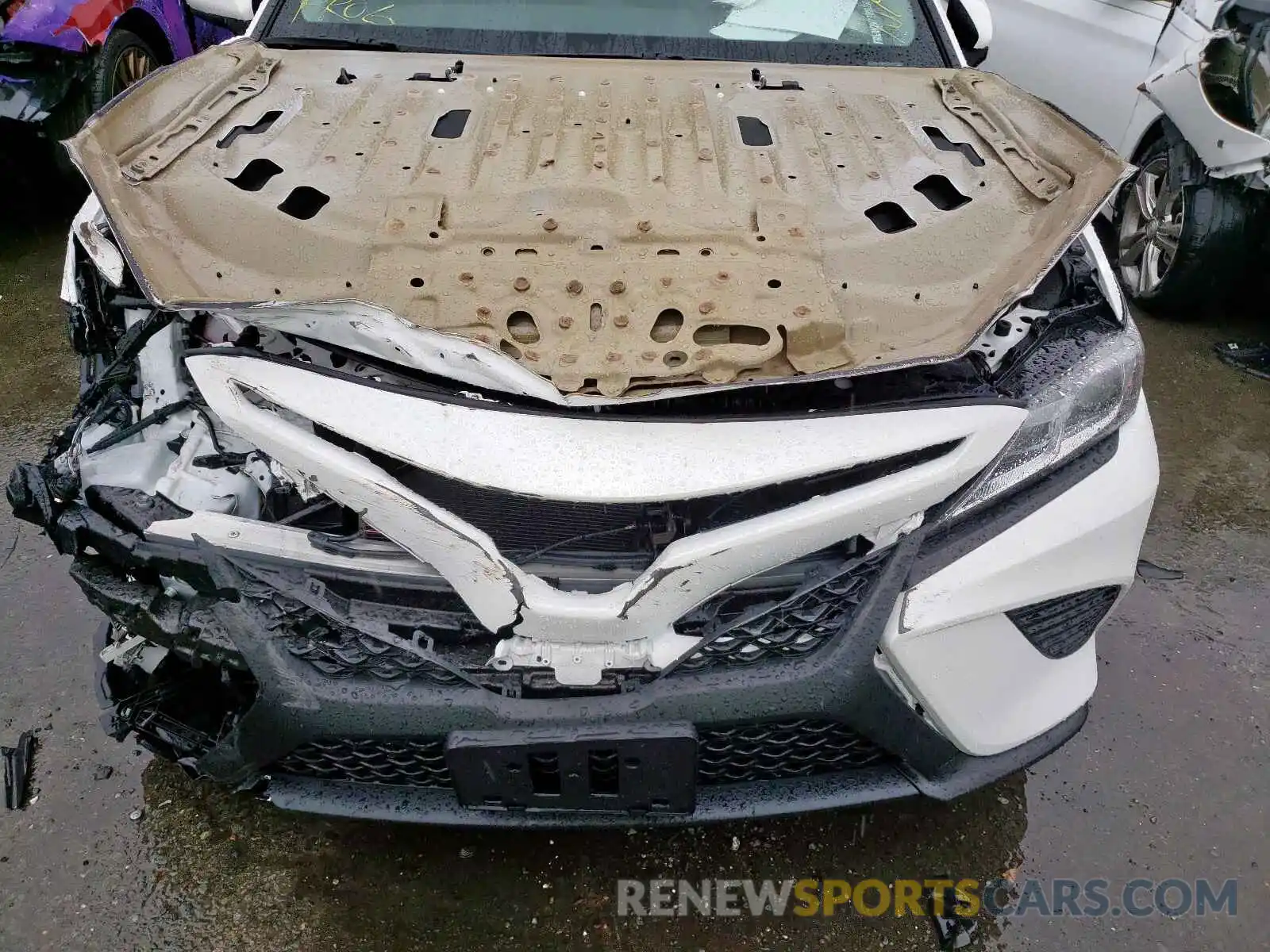 9 Photograph of a damaged car 4T1B11HKXKU256879 TOYOTA CAMRY 2019