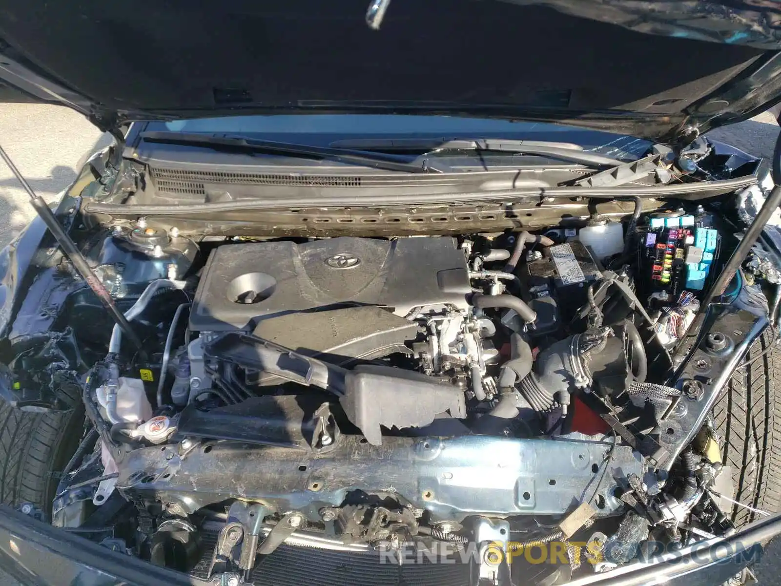 7 Photograph of a damaged car 4T1B11HKXKU259295 TOYOTA CAMRY 2019