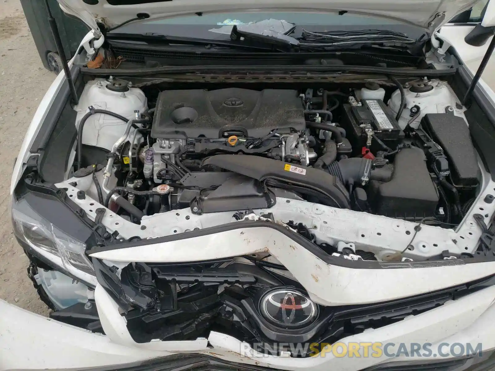 7 Photograph of a damaged car 4T1B11HKXKU262360 TOYOTA CAMRY 2019