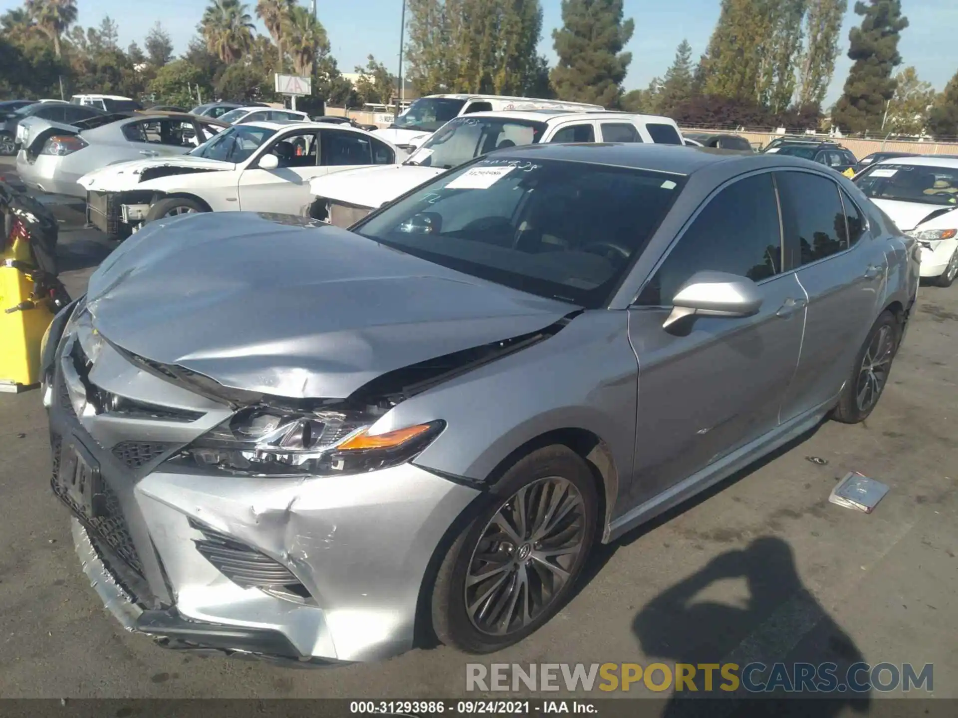 2 Photograph of a damaged car 4T1B11HKXKU266473 TOYOTA CAMRY 2019