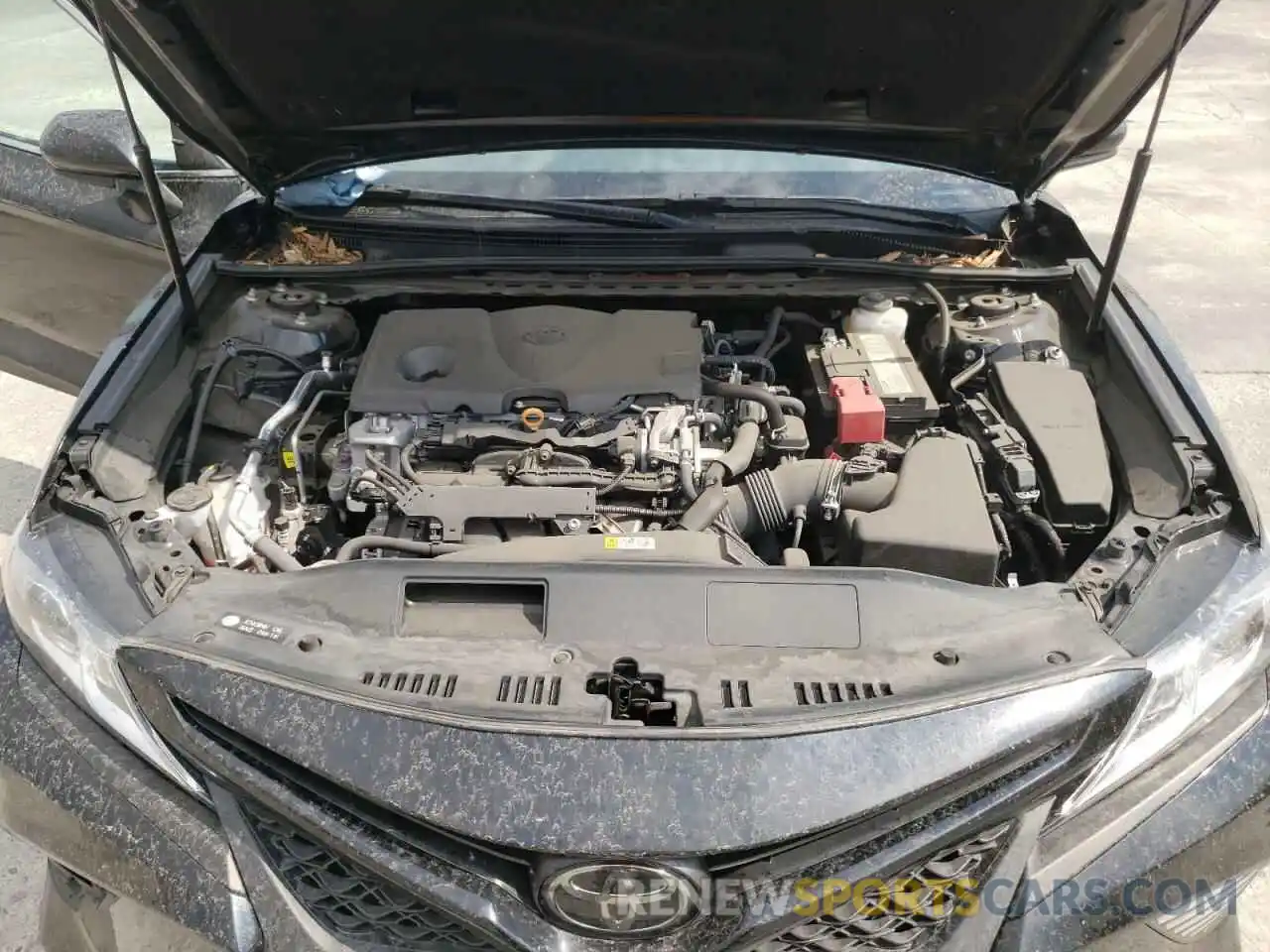 7 Photograph of a damaged car 4T1B11HKXKU277215 TOYOTA CAMRY 2019