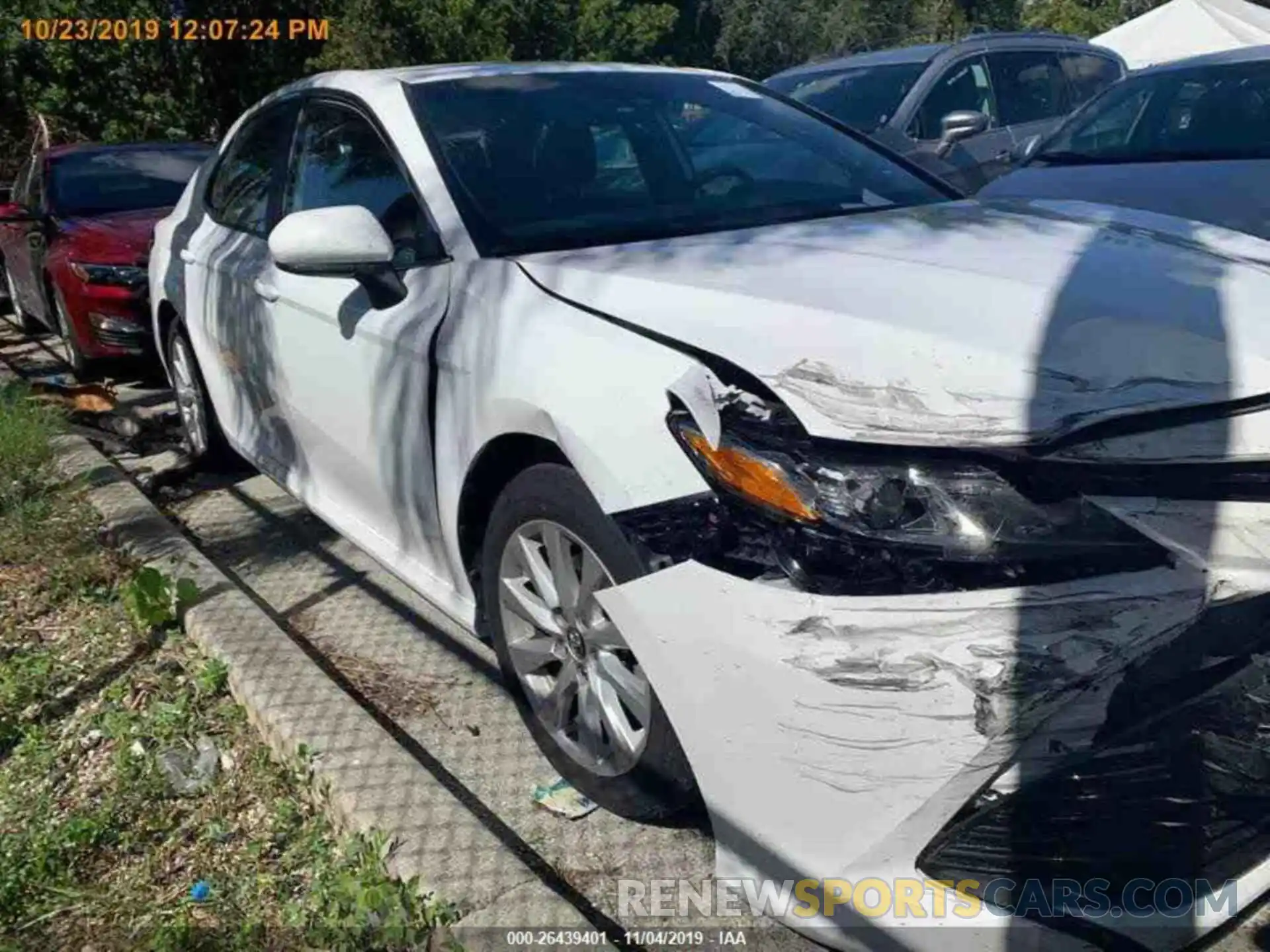 16 Photograph of a damaged car 4T1B11HKXKU680742 TOYOTA CAMRY 2019