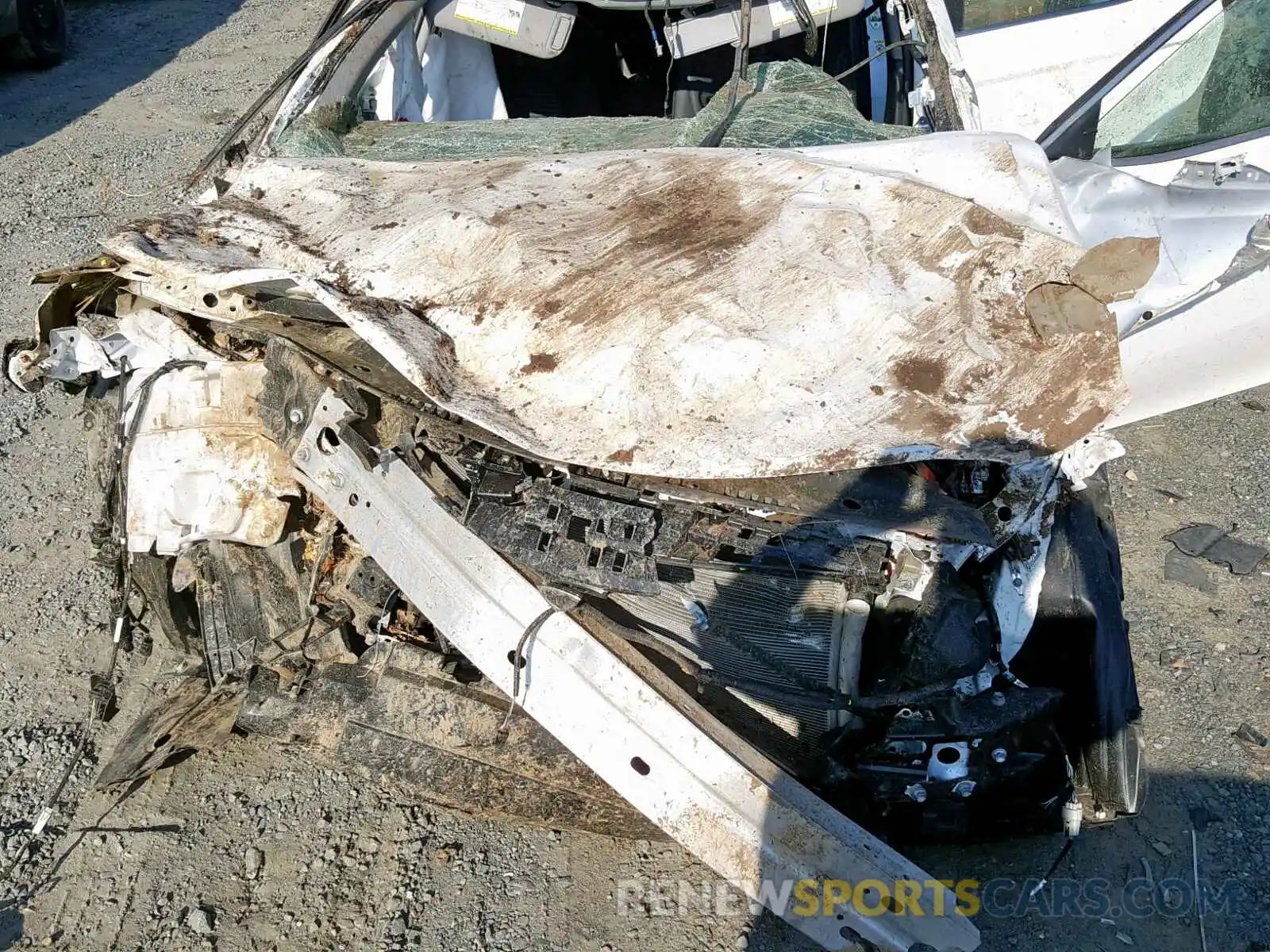 7 Photograph of a damaged car 4T1B11HKXKU681955 TOYOTA CAMRY 2019