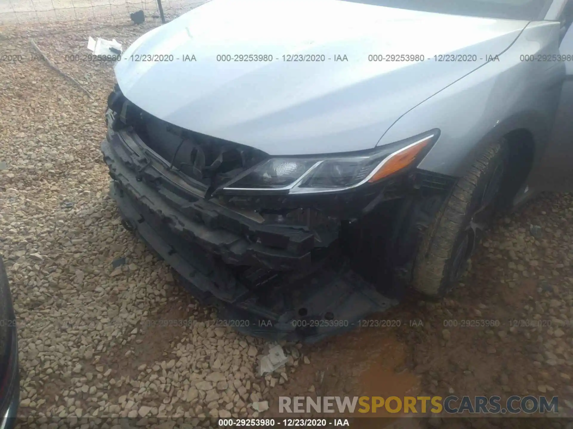 6 Photograph of a damaged car 4T1B11HKXKU691420 TOYOTA CAMRY 2019