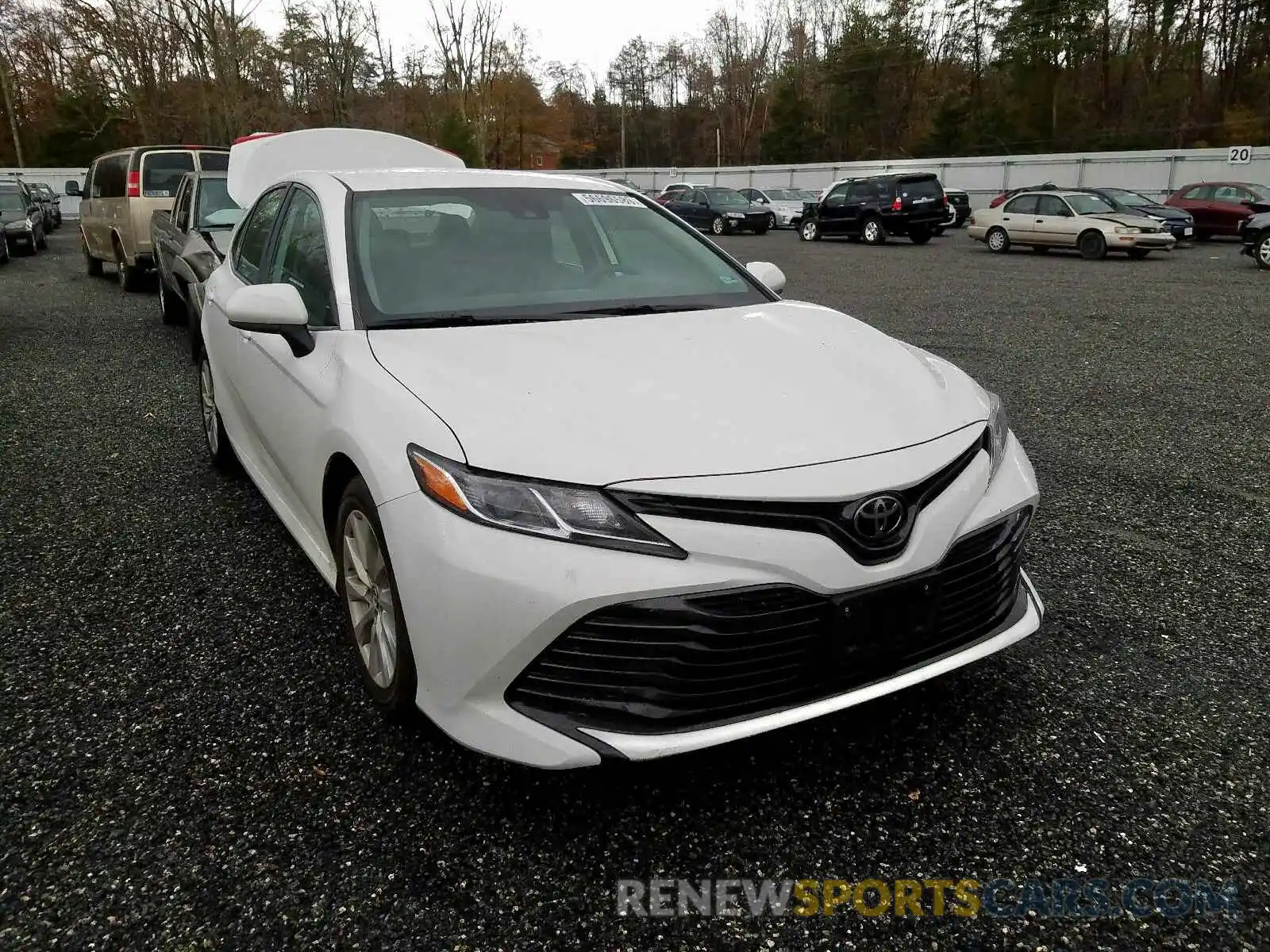 1 Photograph of a damaged car 4T1B11HKXKU691532 TOYOTA CAMRY 2019