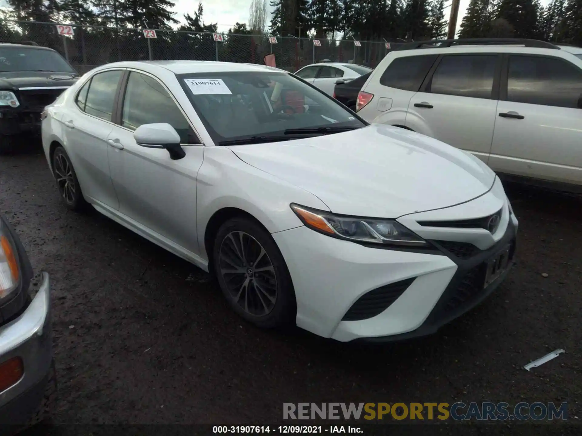 1 Photograph of a damaged car 4T1B11HKXKU710922 TOYOTA CAMRY 2019