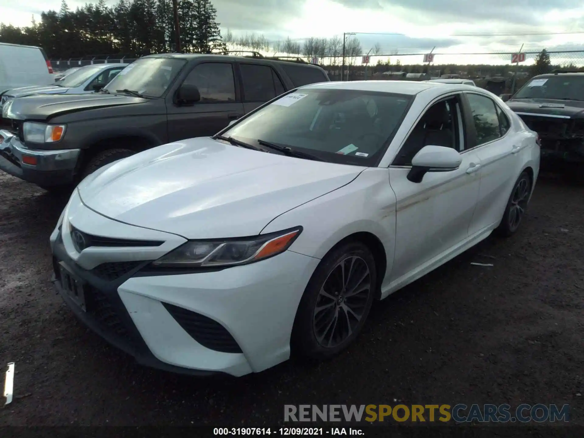 2 Photograph of a damaged car 4T1B11HKXKU710922 TOYOTA CAMRY 2019