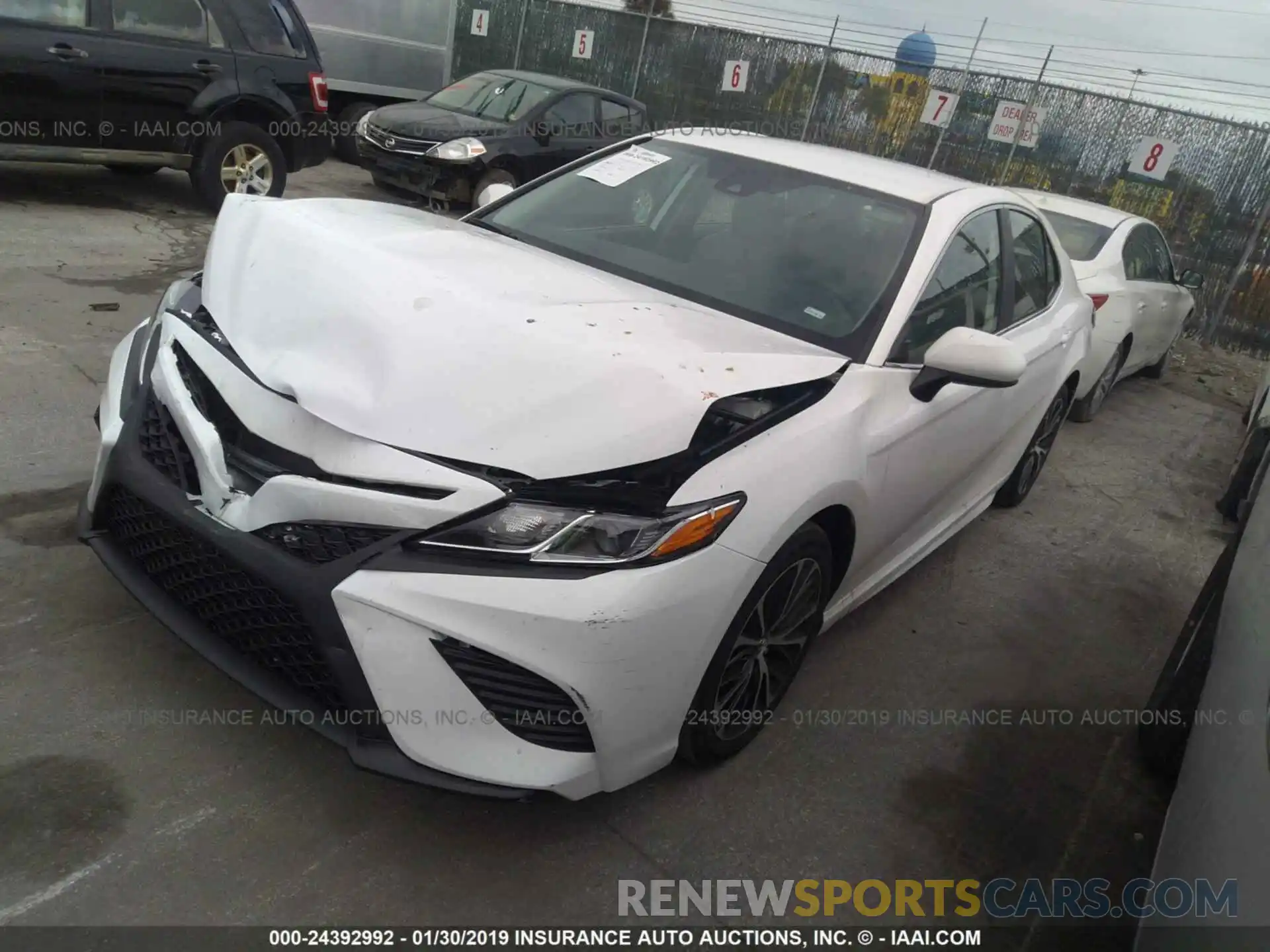 2 Photograph of a damaged car 4T1B11HKXKU716784 TOYOTA CAMRY 2019