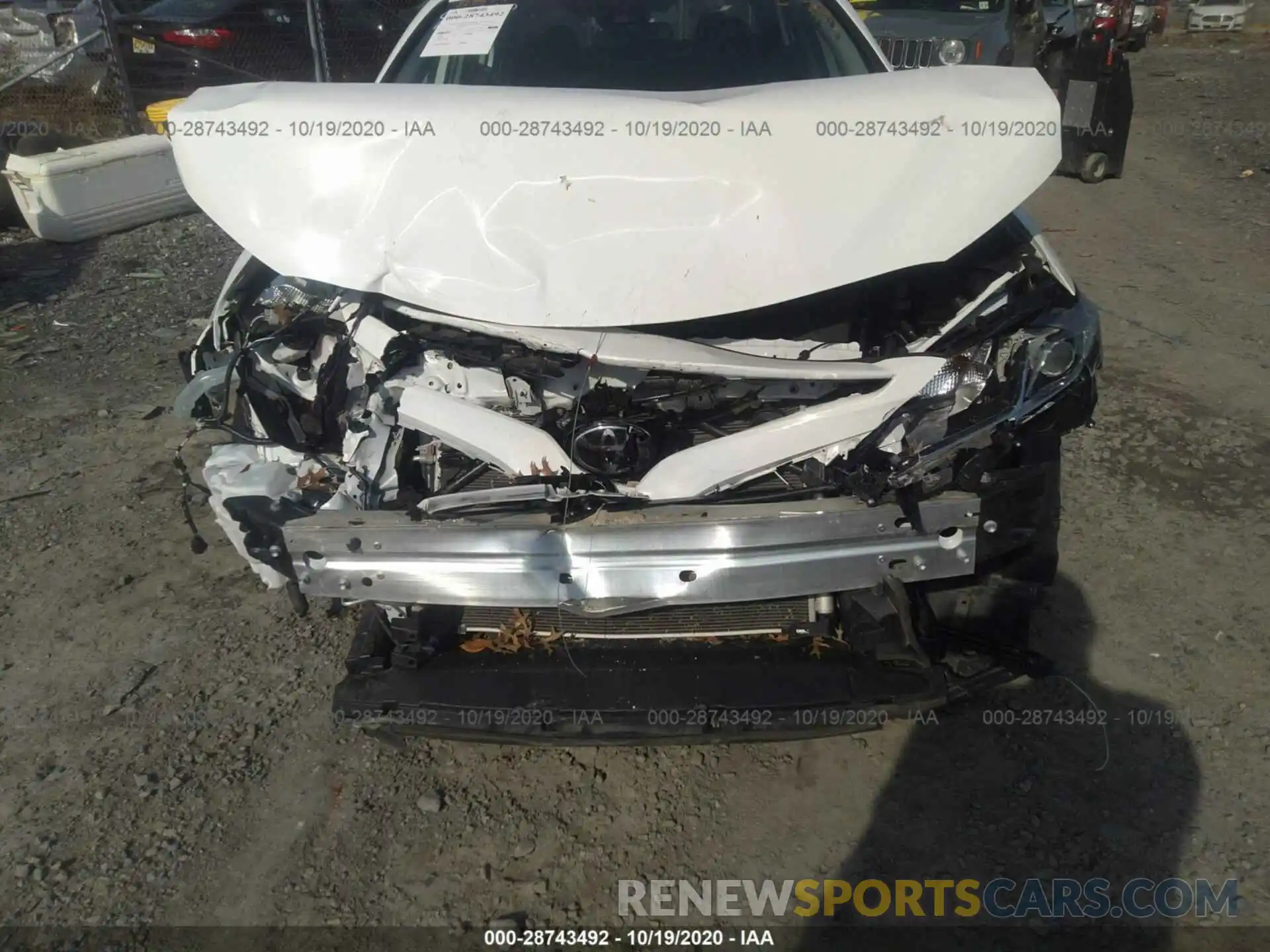 6 Photograph of a damaged car 4T1B11HKXKU738672 TOYOTA CAMRY 2019