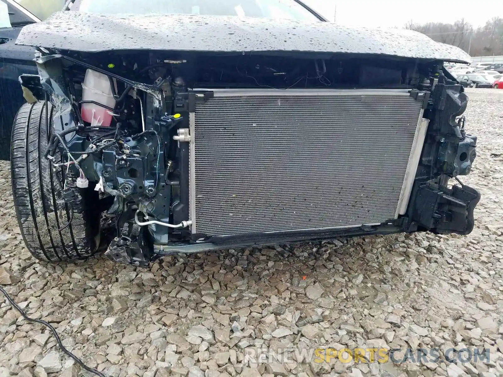 9 Photograph of a damaged car 4T1B11HKXKU742429 TOYOTA CAMRY 2019