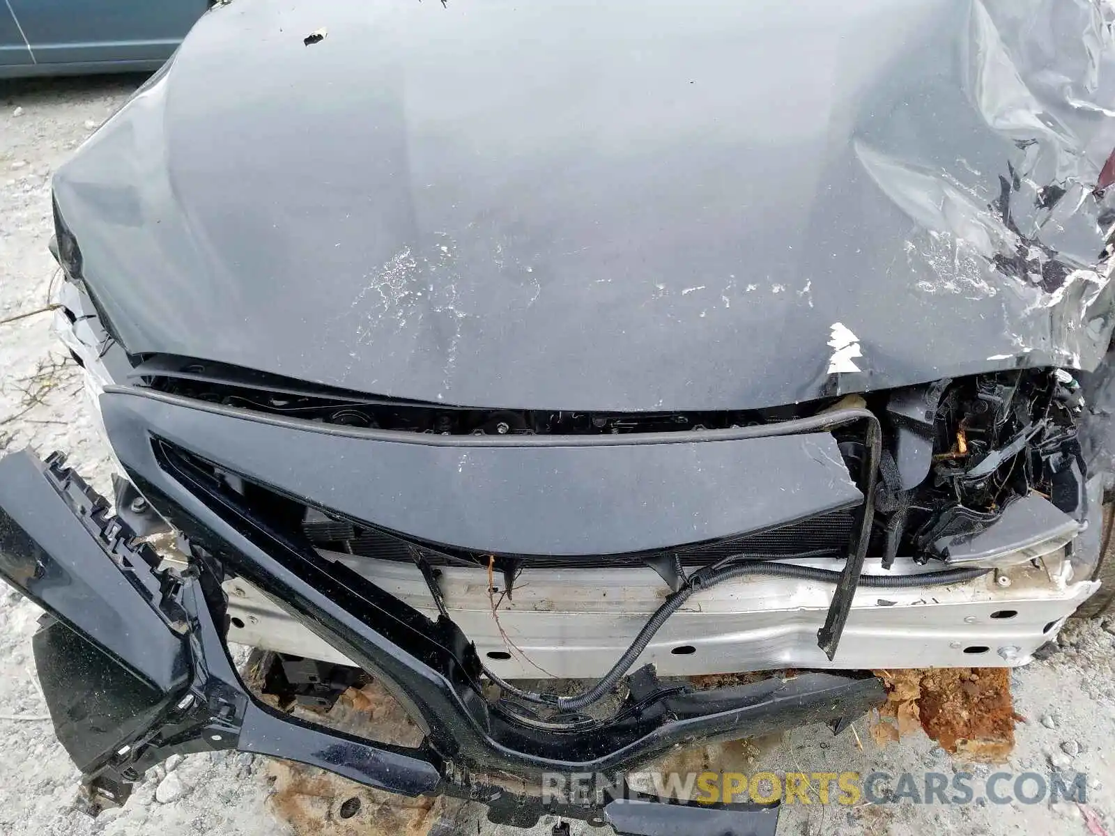 7 Photograph of a damaged car 4T1B11HKXKU742785 TOYOTA CAMRY 2019