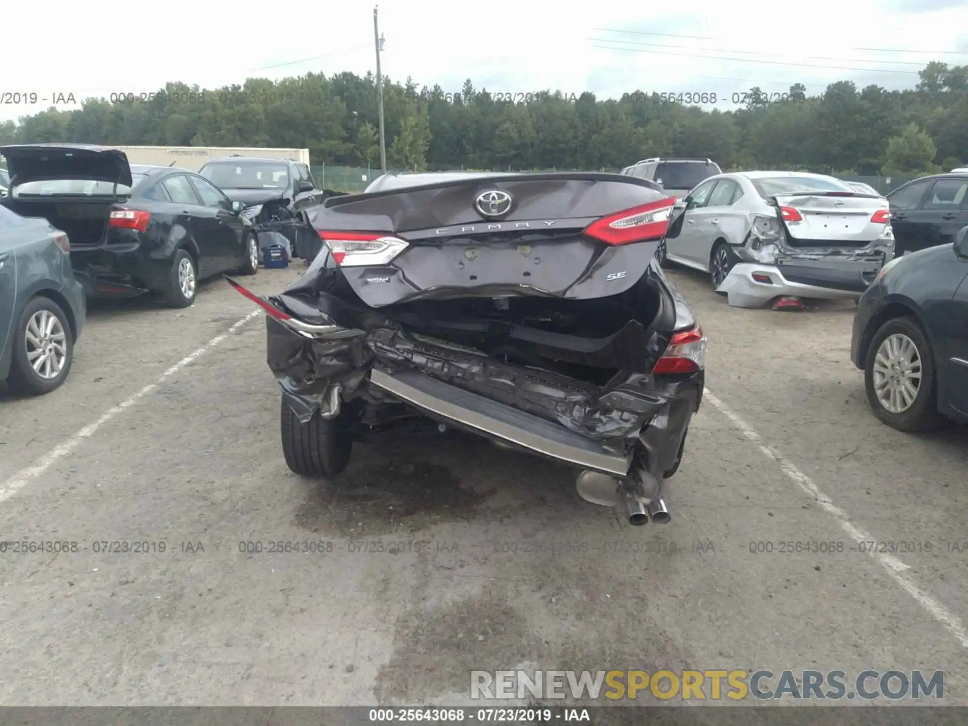 6 Photograph of a damaged car 4T1B11HKXKU743676 TOYOTA CAMRY 2019