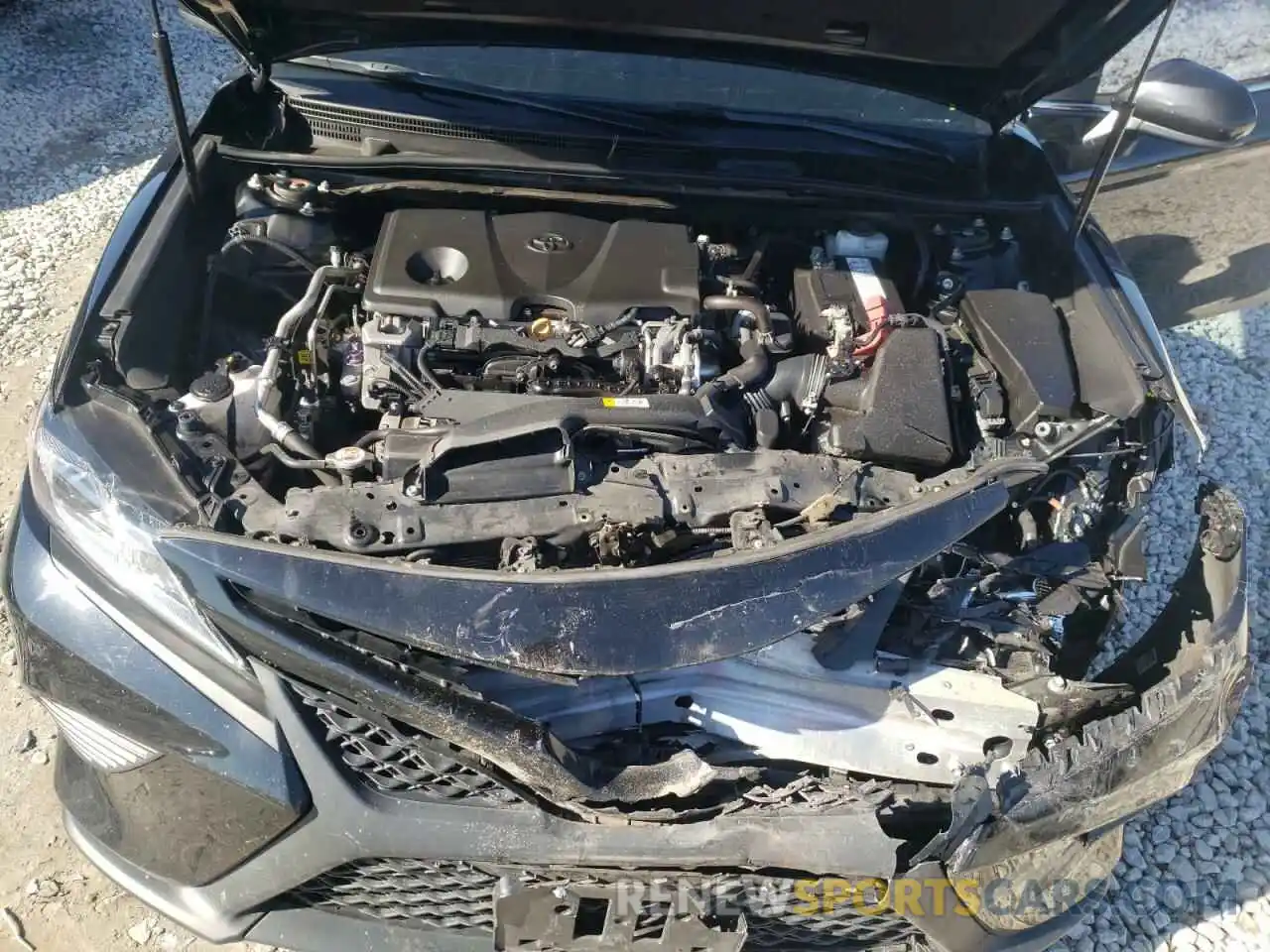 7 Photograph of a damaged car 4T1B11HKXKU751907 TOYOTA CAMRY 2019