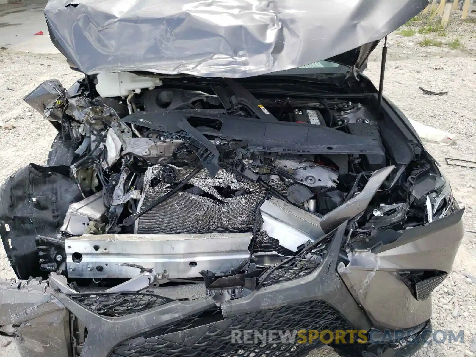 7 Photograph of a damaged car 4T1B11HKXKU752751 TOYOTA CAMRY 2019