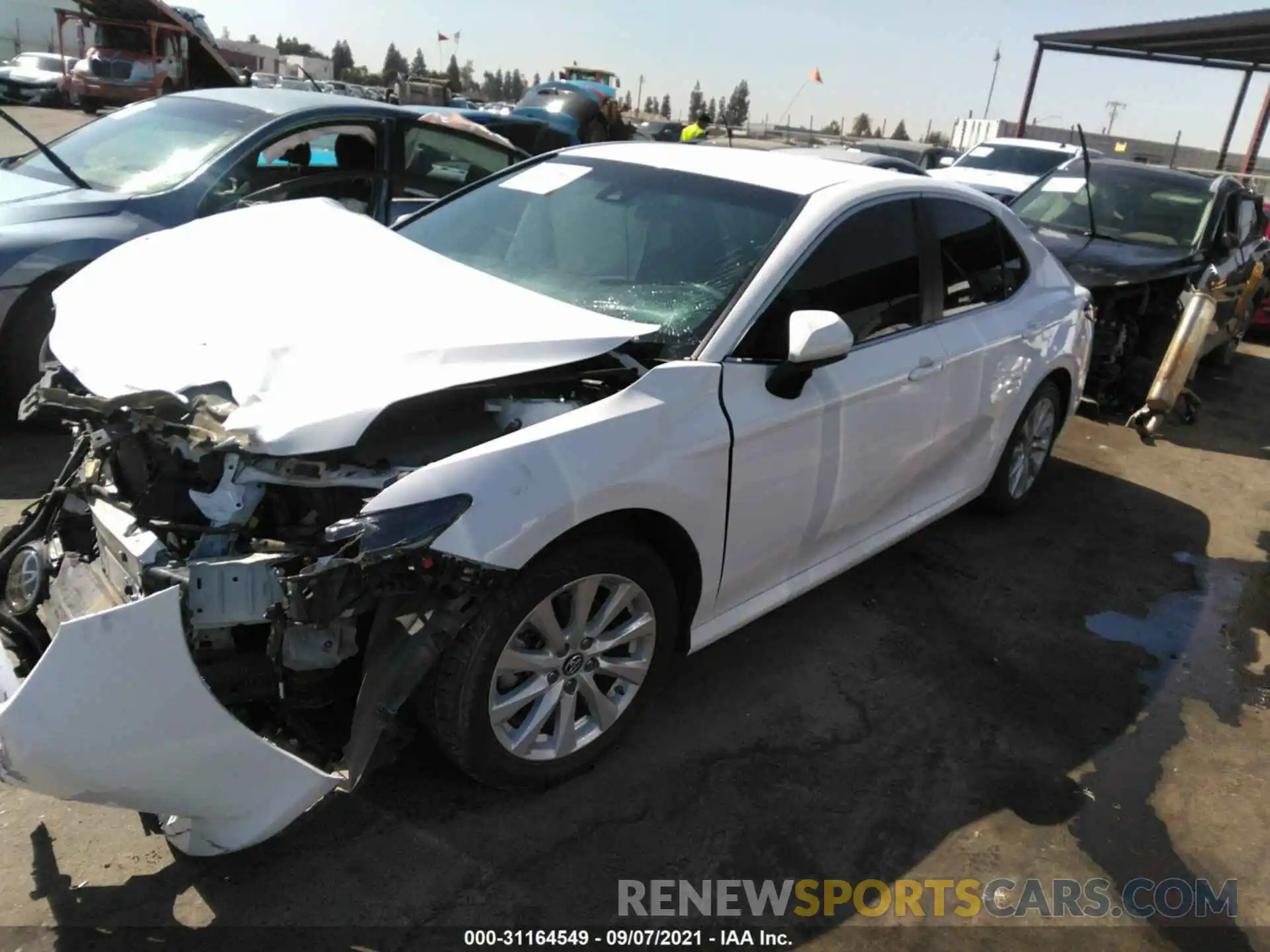 2 Photograph of a damaged car 4T1B11HKXKU757612 TOYOTA CAMRY 2019