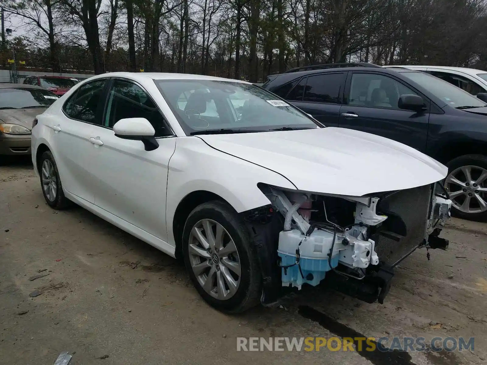 1 Photograph of a damaged car 4T1B11HKXKU760204 TOYOTA CAMRY 2019