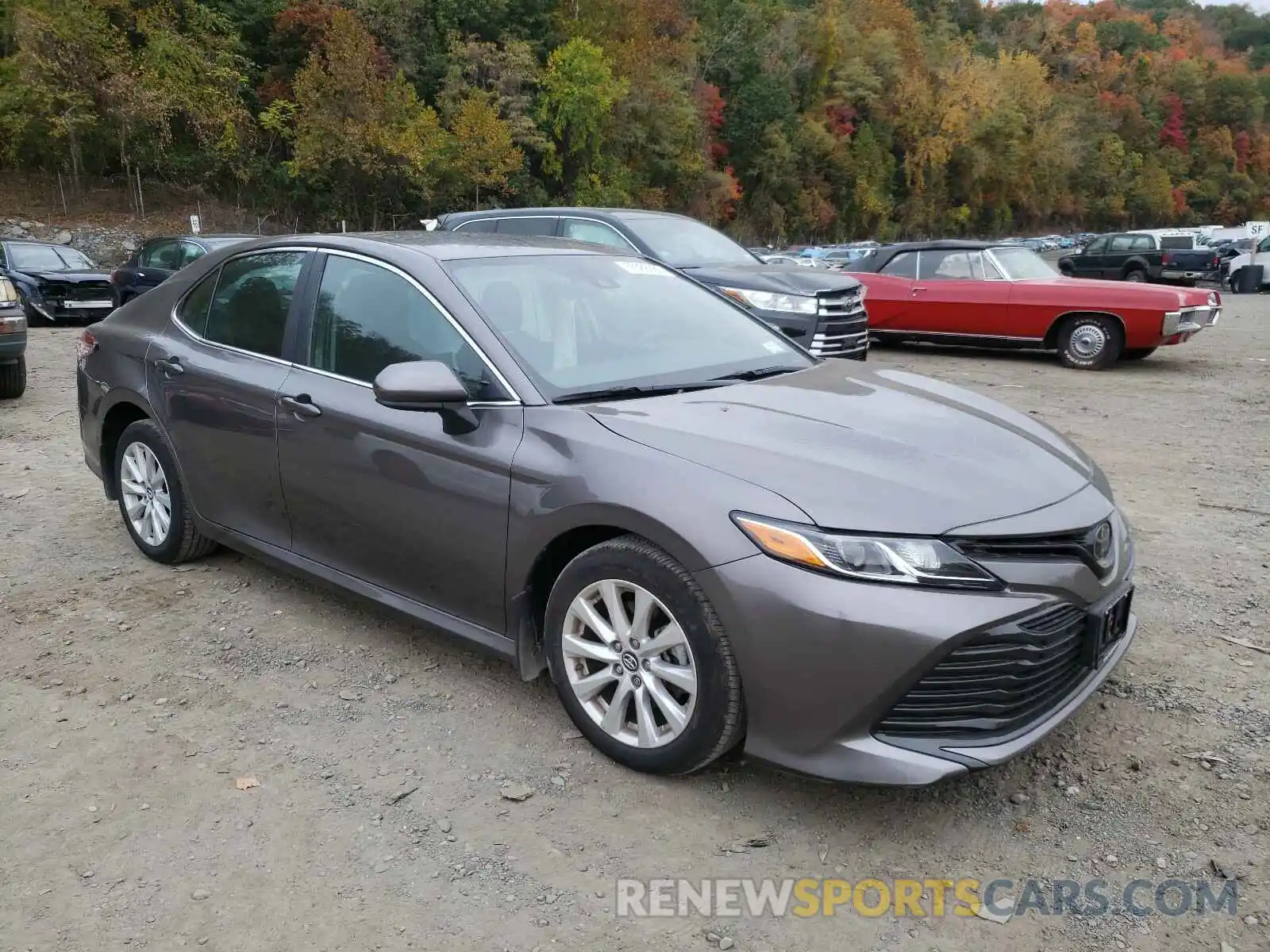 1 Photograph of a damaged car 4T1B11HKXKU763846 TOYOTA CAMRY 2019