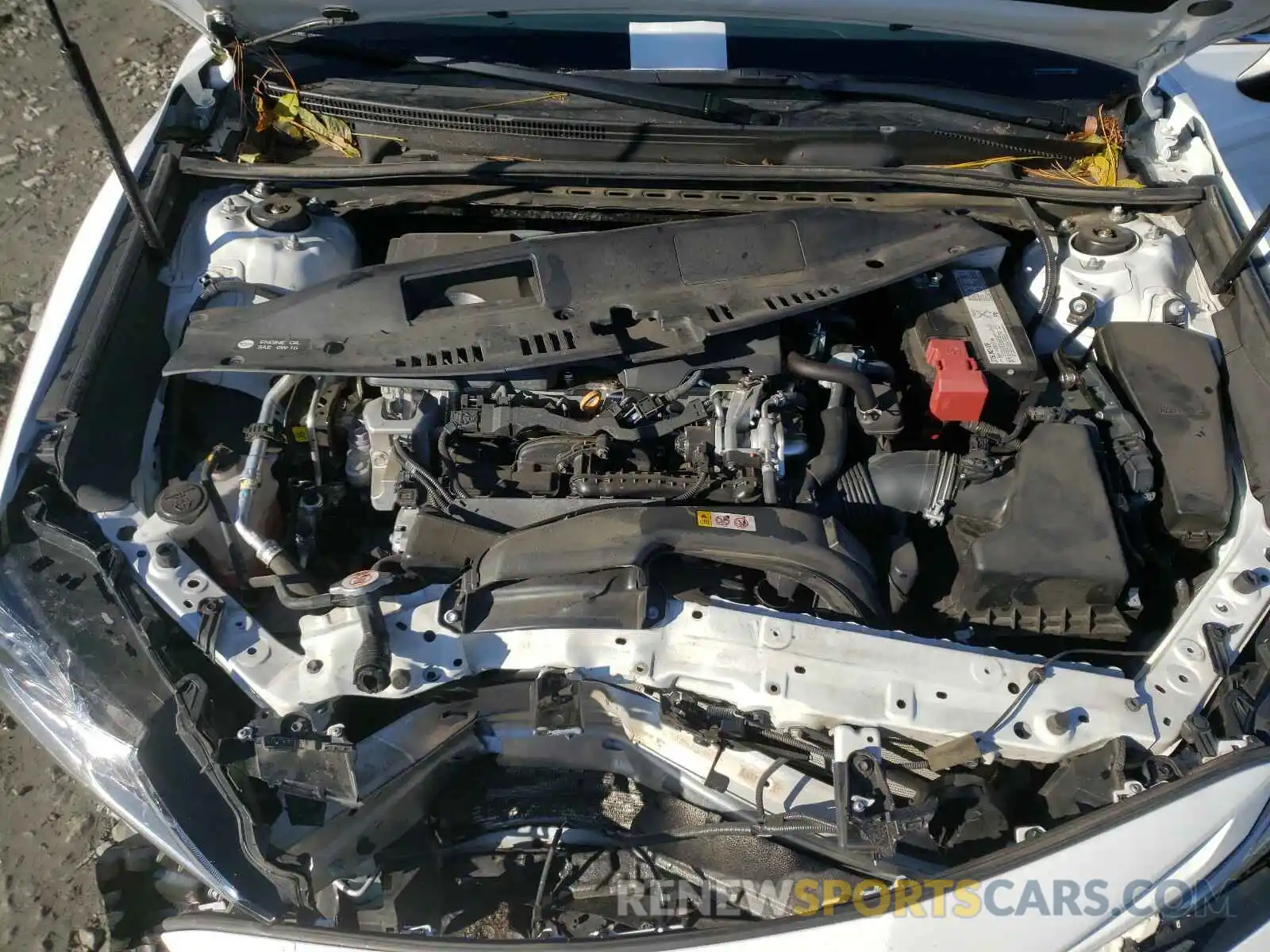 7 Photograph of a damaged car 4T1B11HKXKU767976 TOYOTA CAMRY 2019