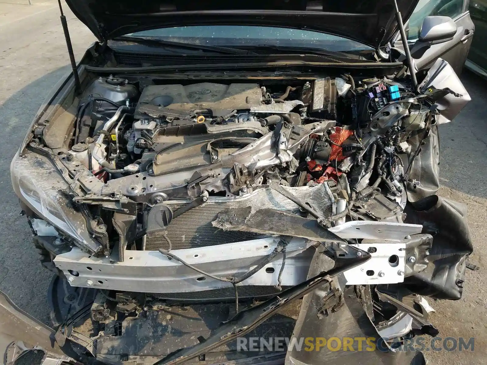 7 Photograph of a damaged car 4T1B11HKXKU769775 TOYOTA CAMRY 2019