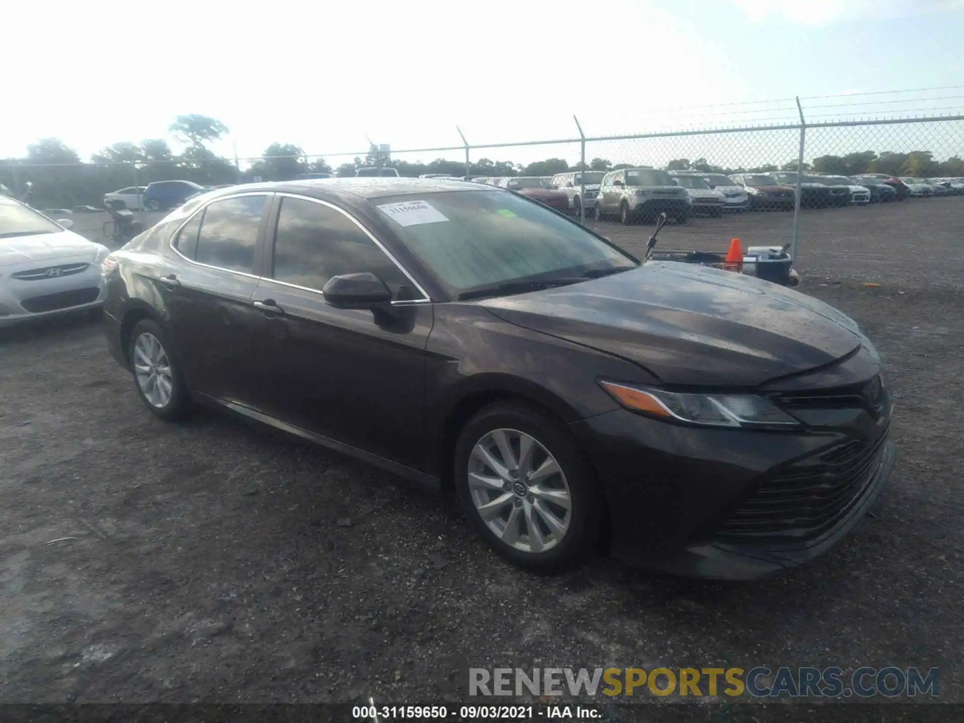 1 Photograph of a damaged car 4T1B11HKXKU773566 TOYOTA CAMRY 2019