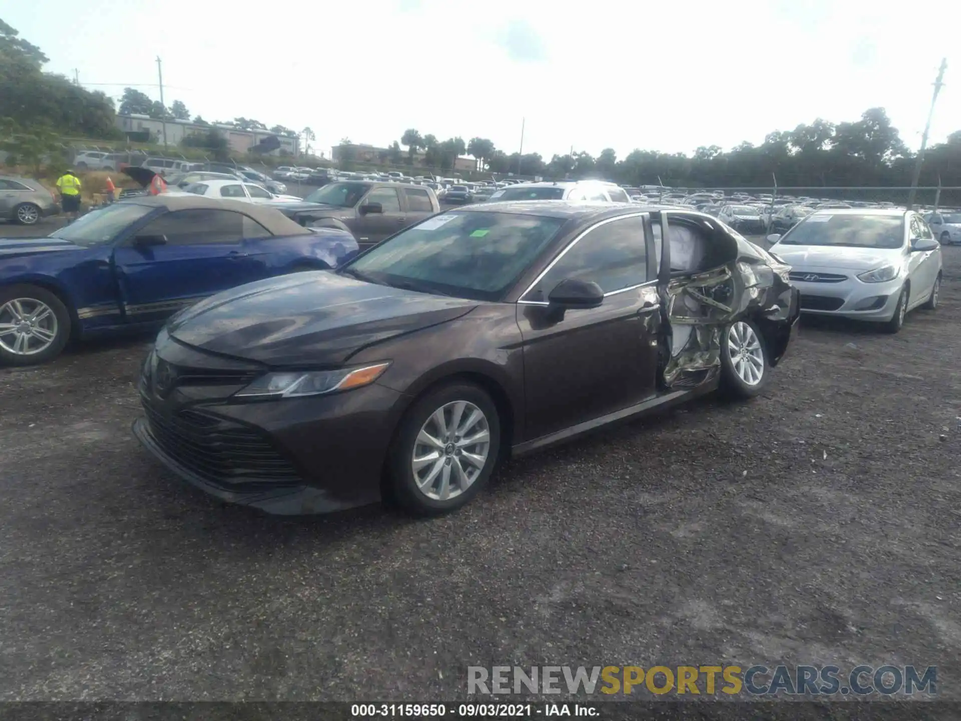 2 Photograph of a damaged car 4T1B11HKXKU773566 TOYOTA CAMRY 2019